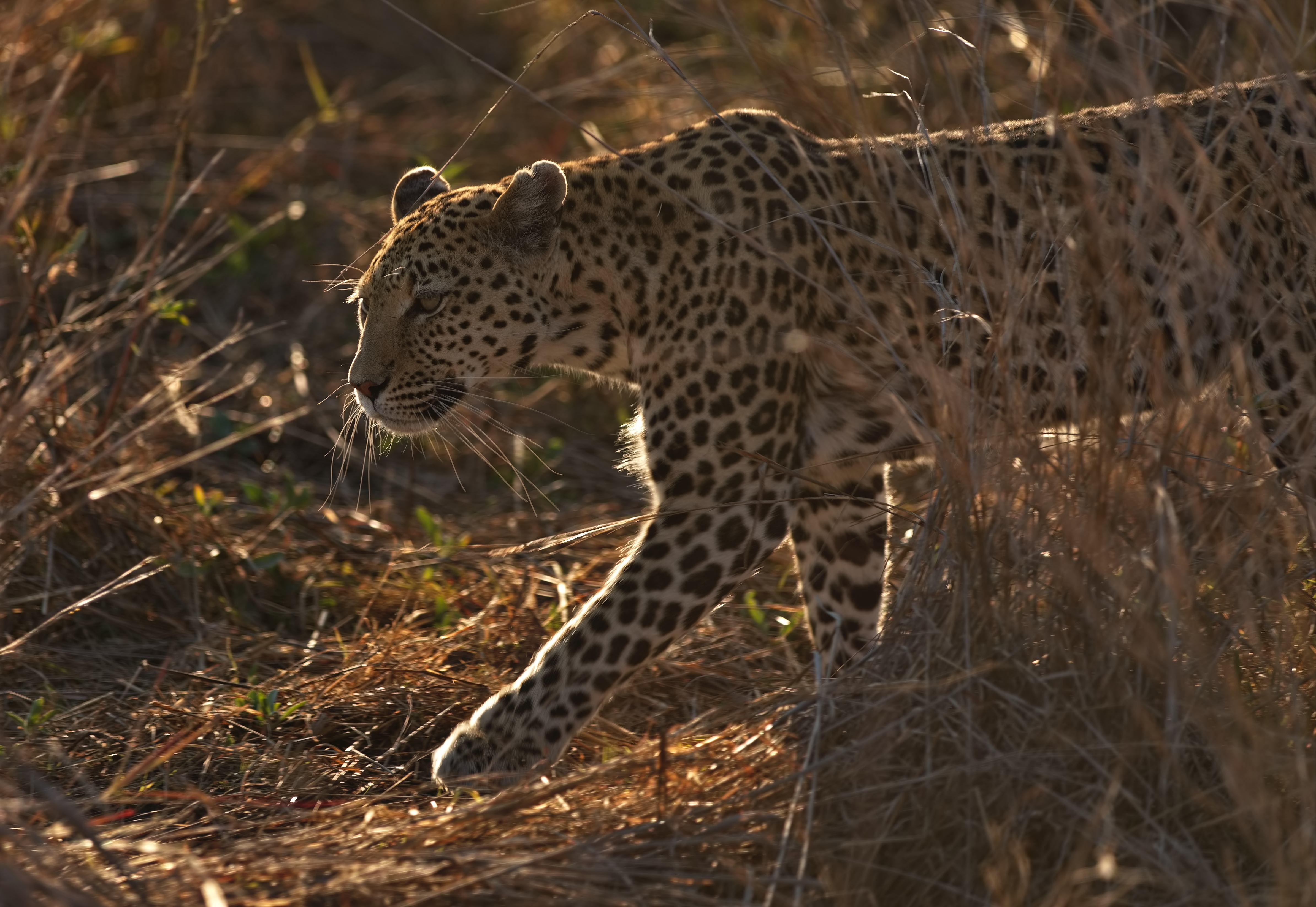 , Игорь Щербаков
