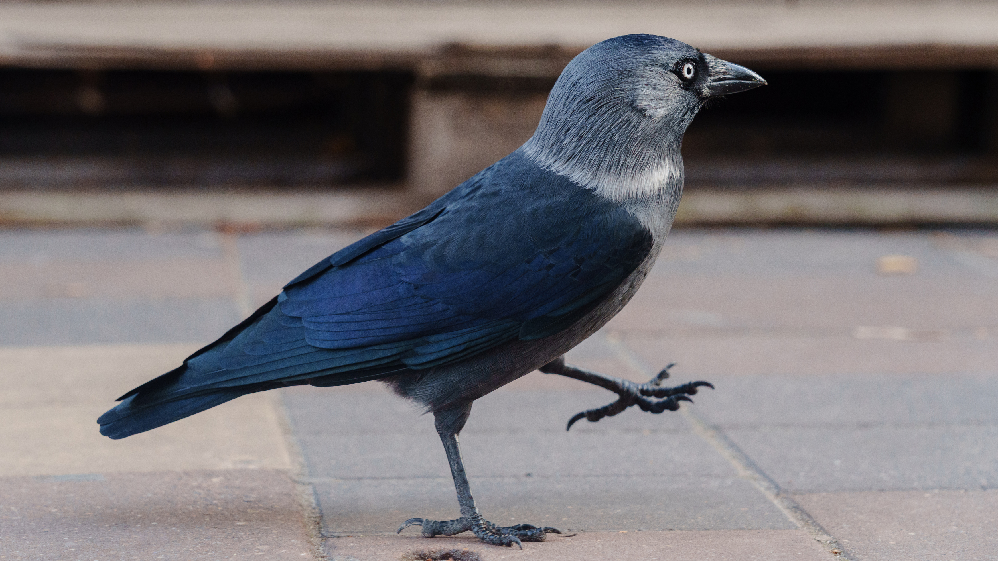 , Вертиков Юрий