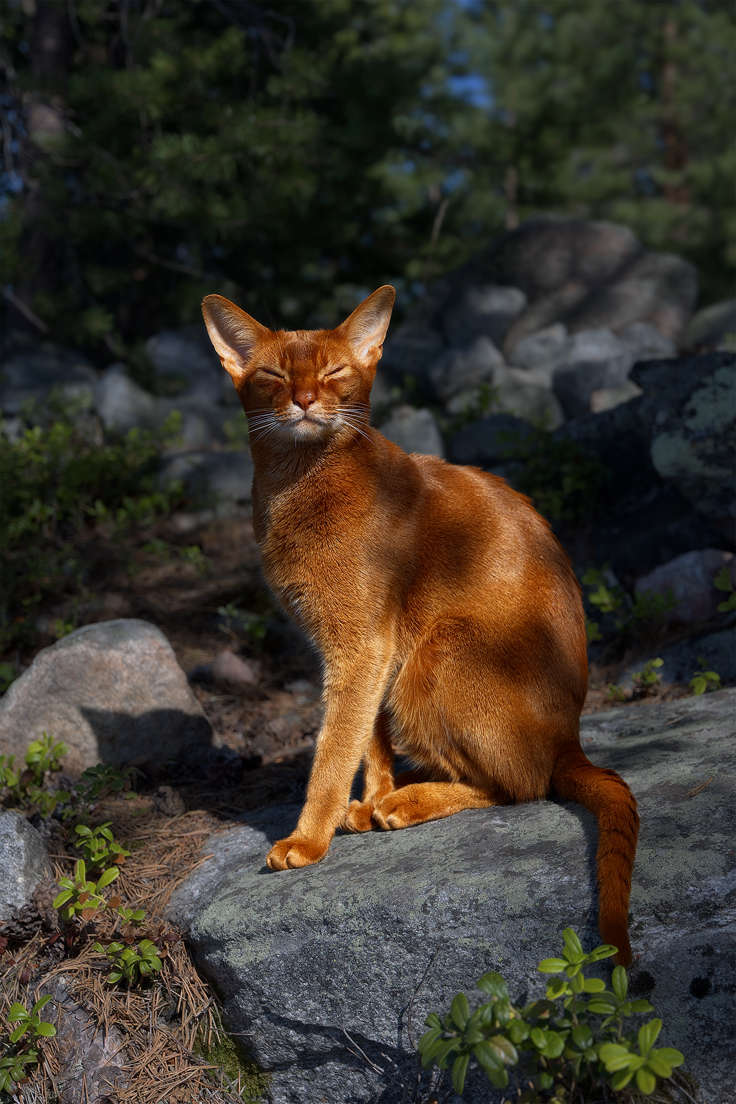 , Михайлова Елена