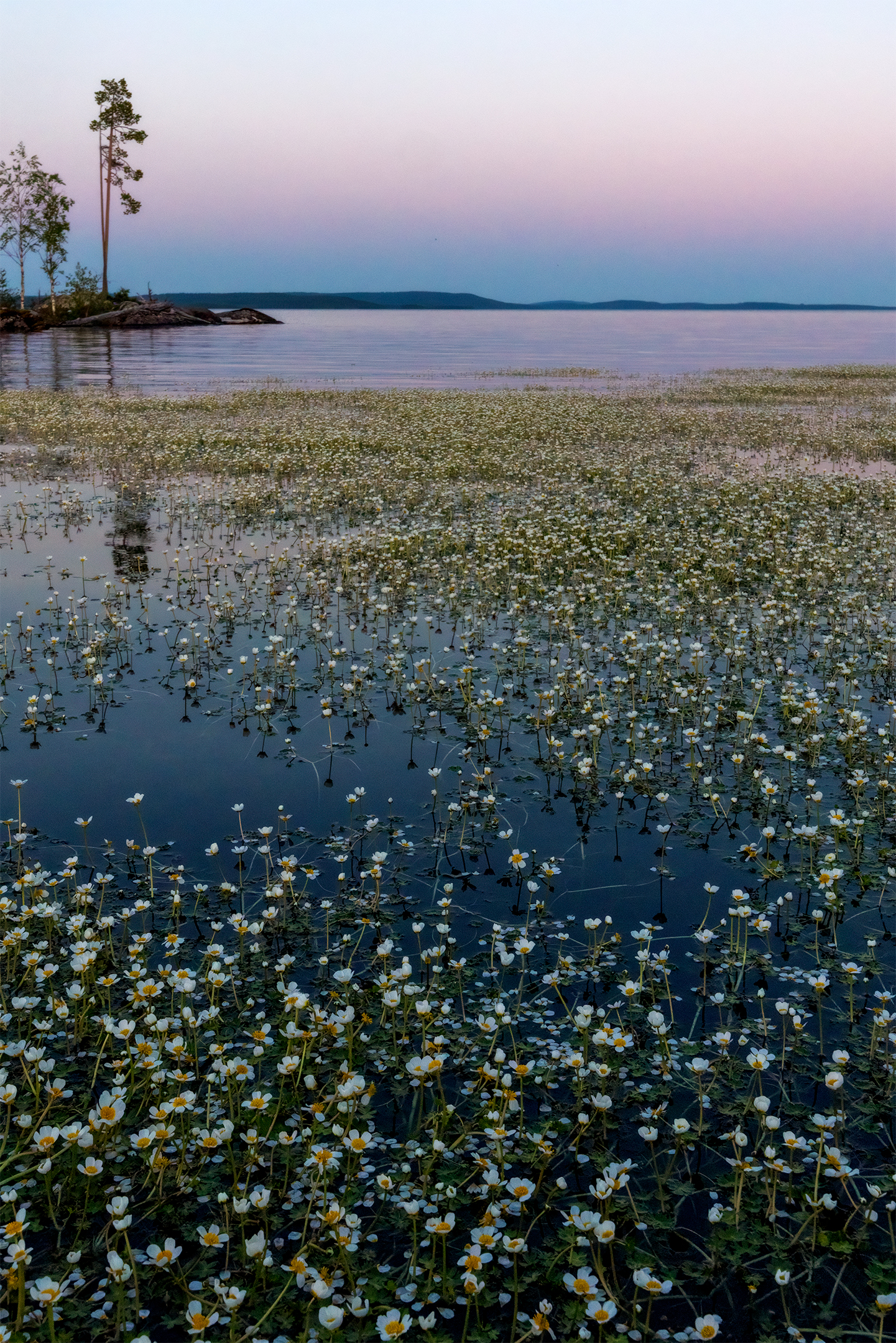 , Михайлова Елена