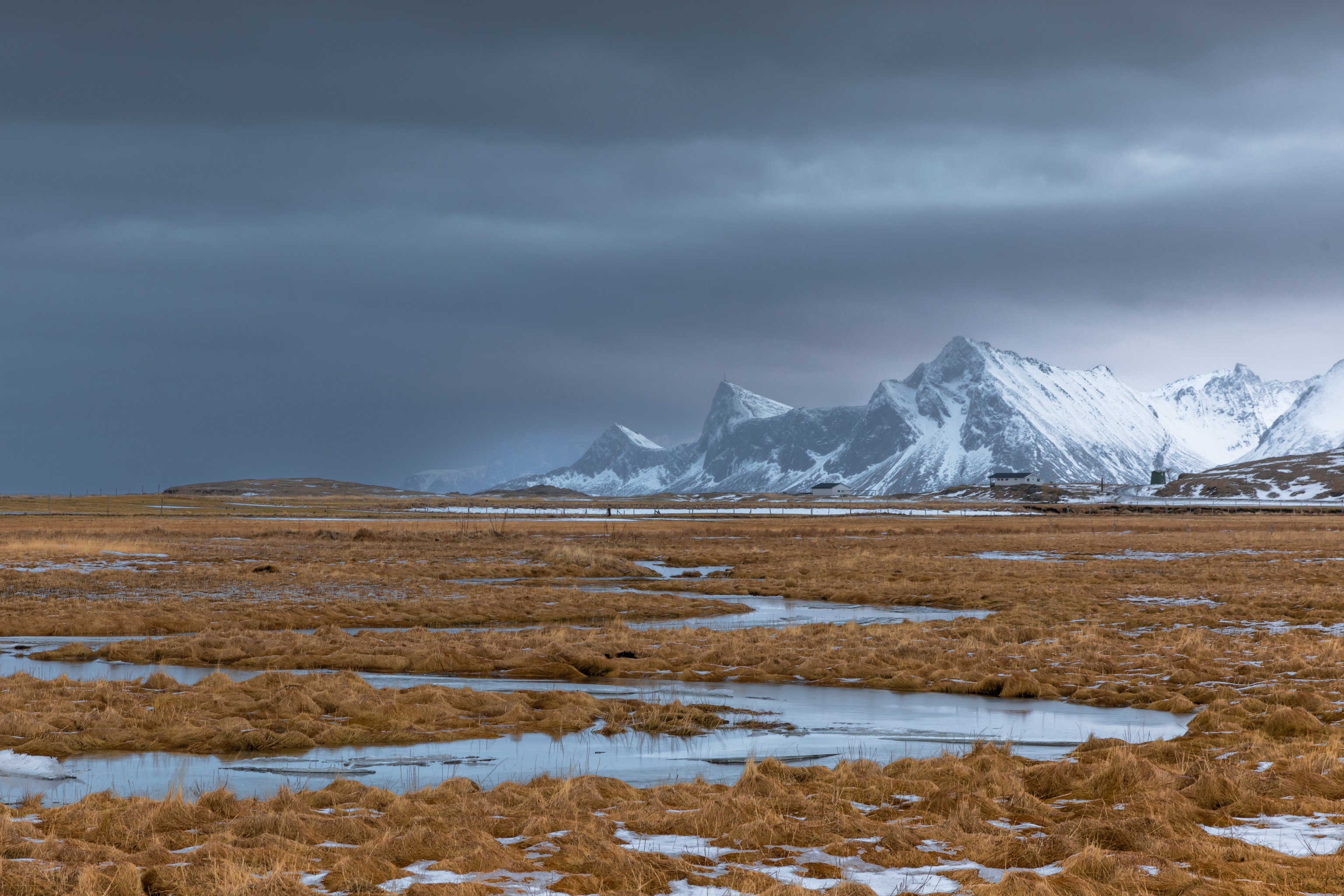 , Евгения Чех
