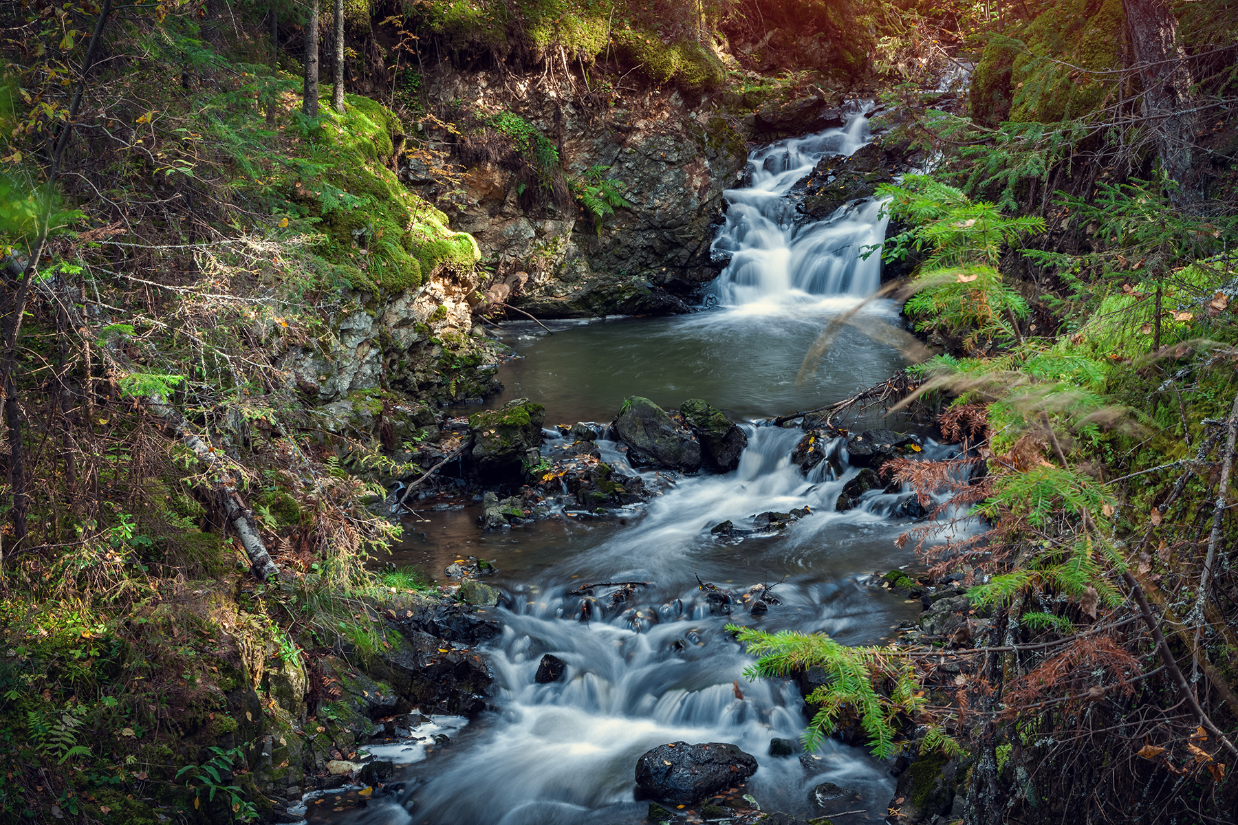 , Андрей Бортников