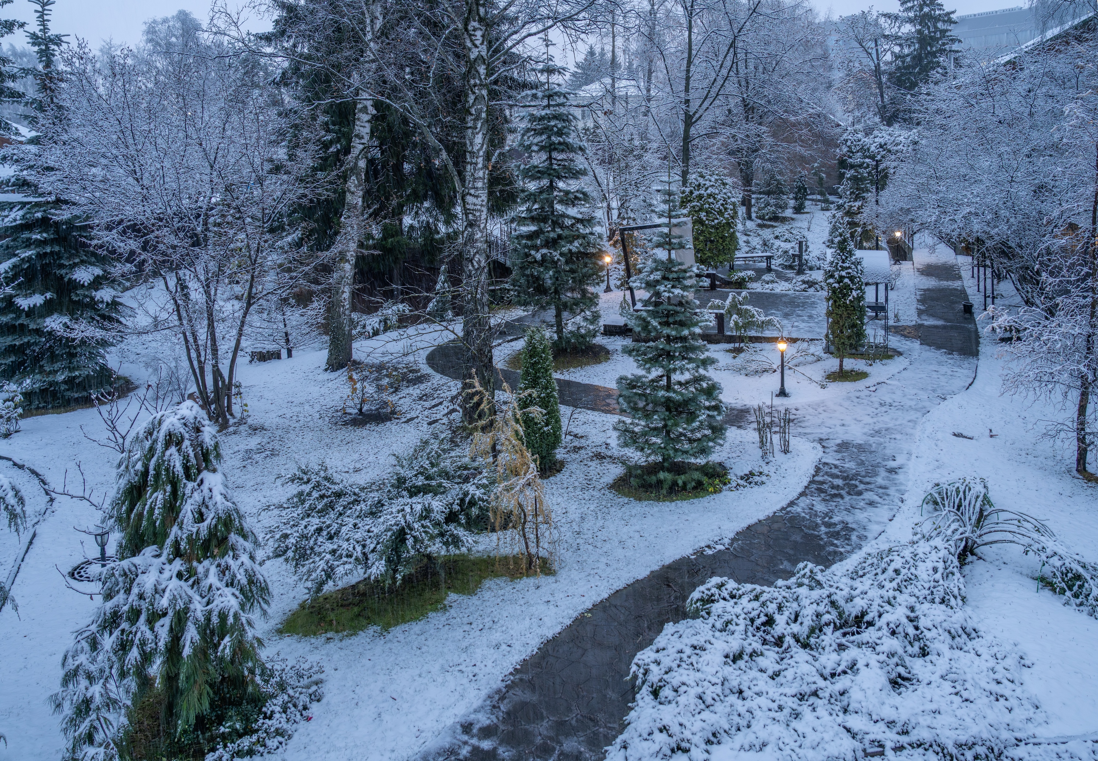 , Курлянцев Алексей