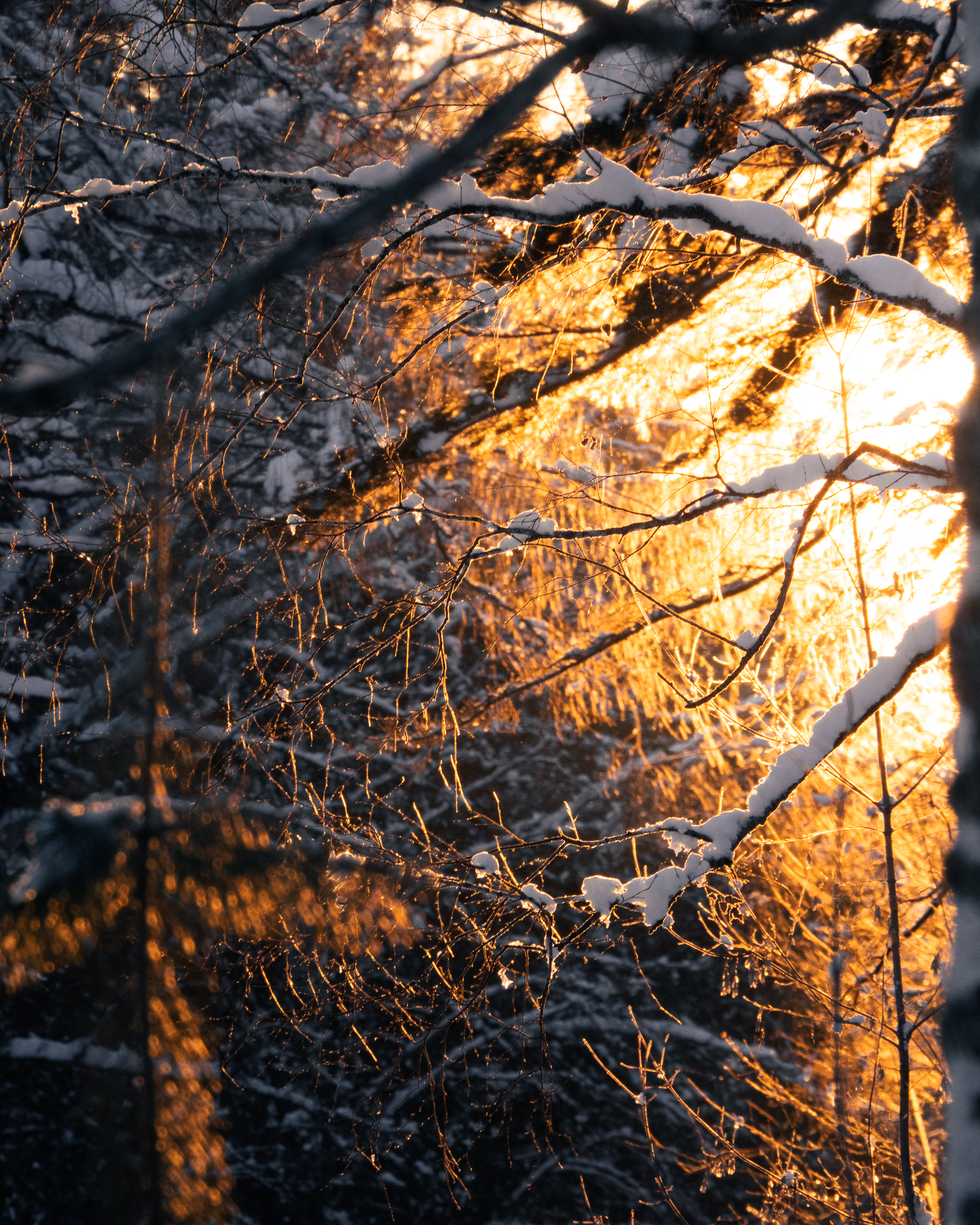 Зима, Андрей Иванов