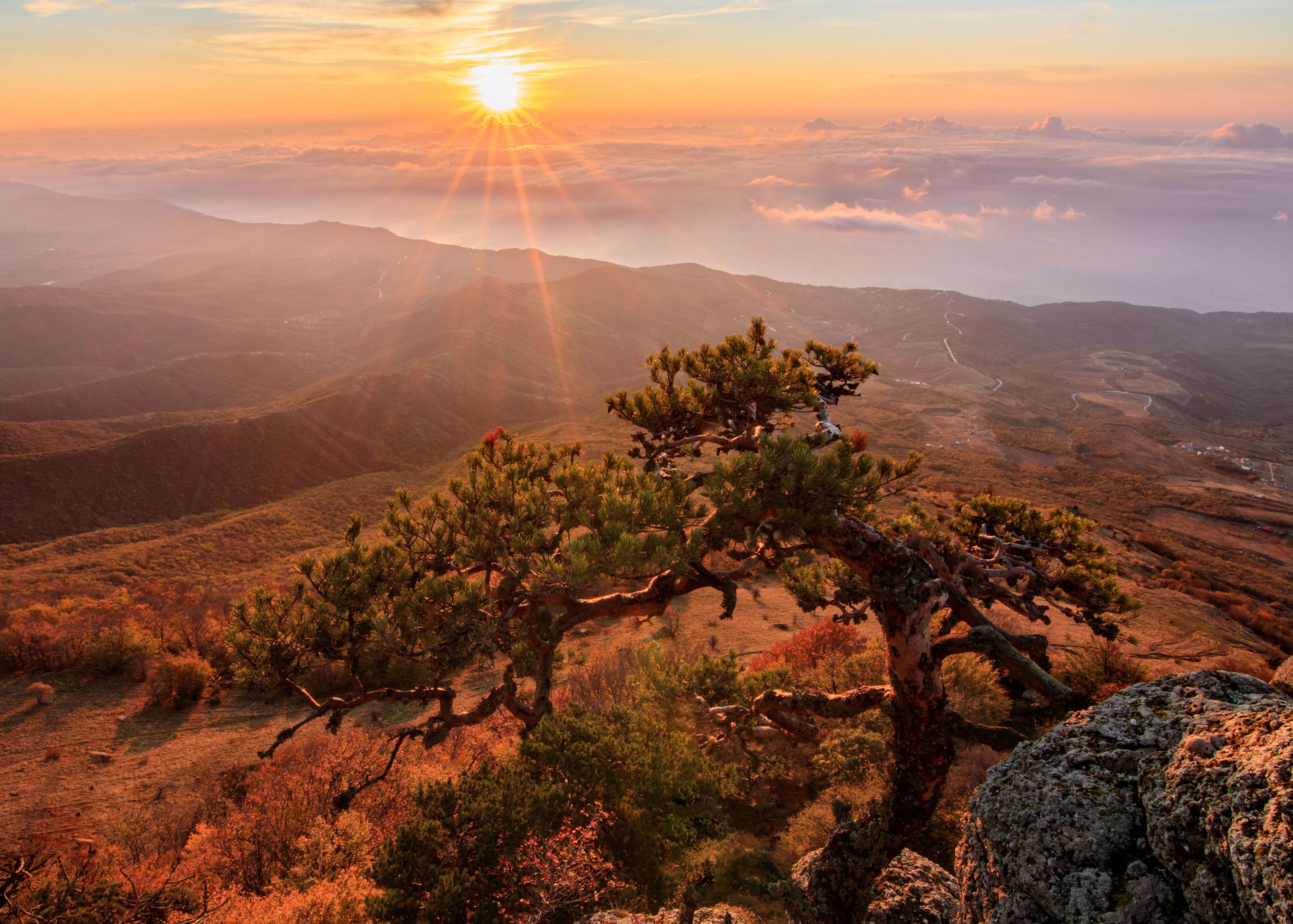 крым, Добролюбова Тамара