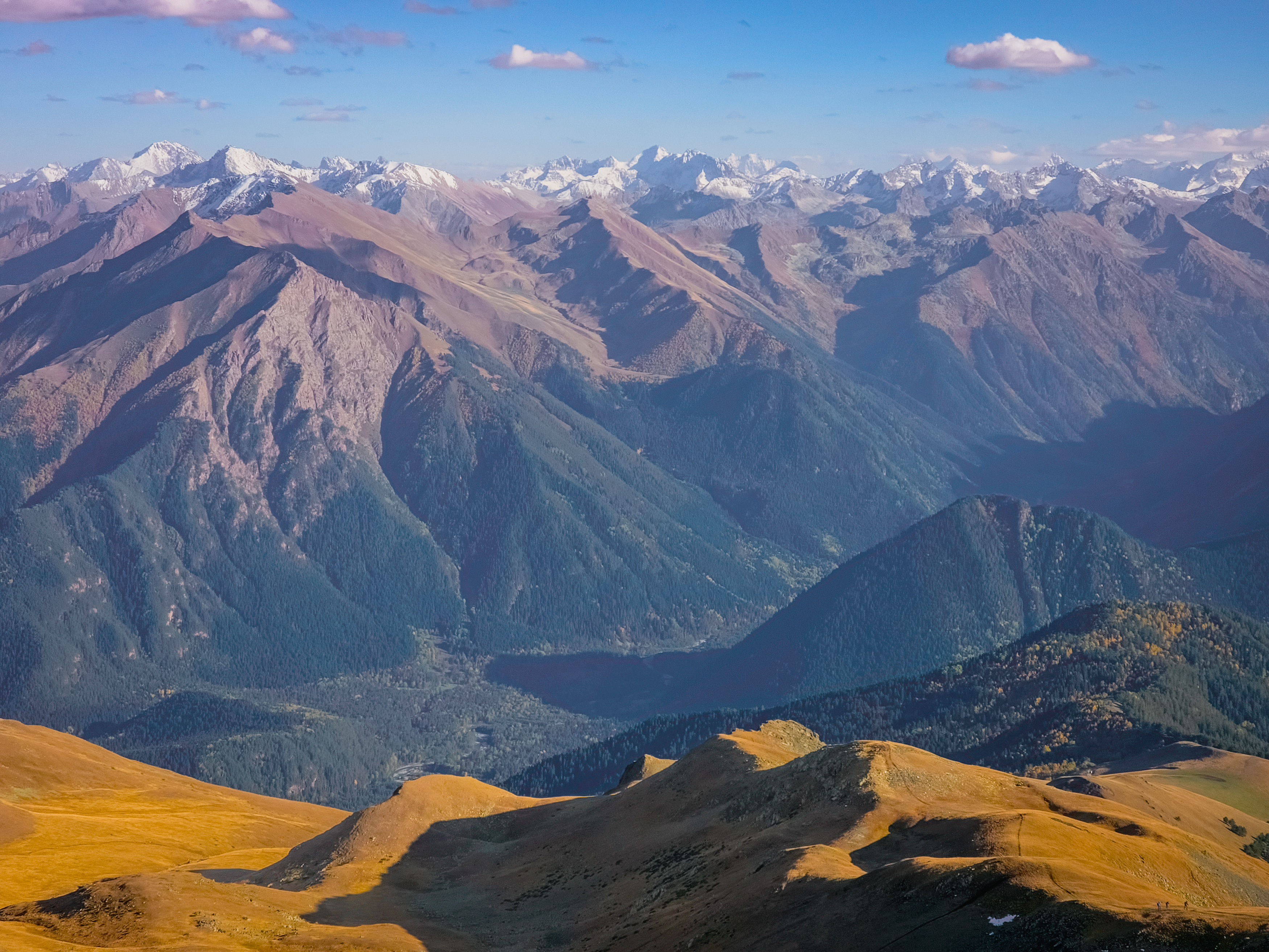 , Игорь Кабанов