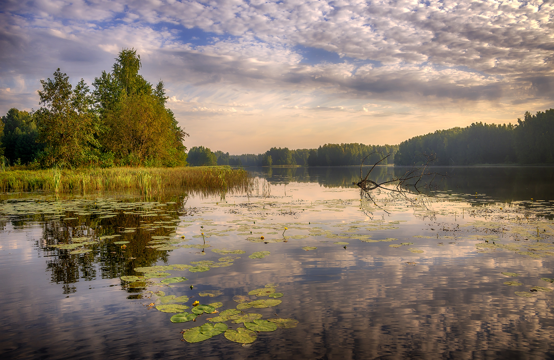 , Сергей Аникин