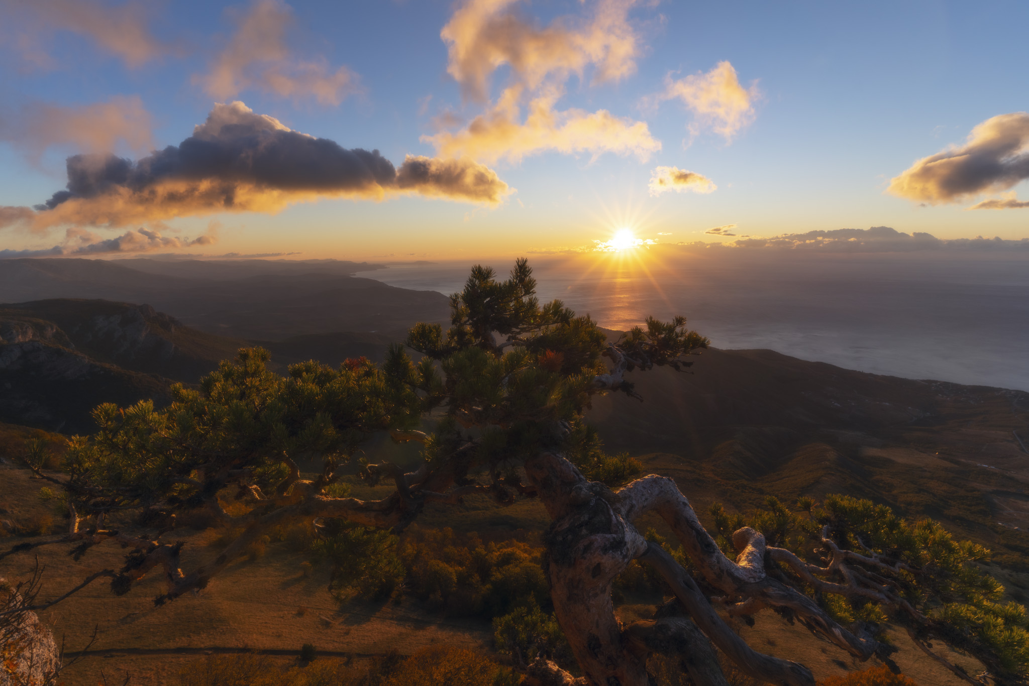 , Юлия Мальцева