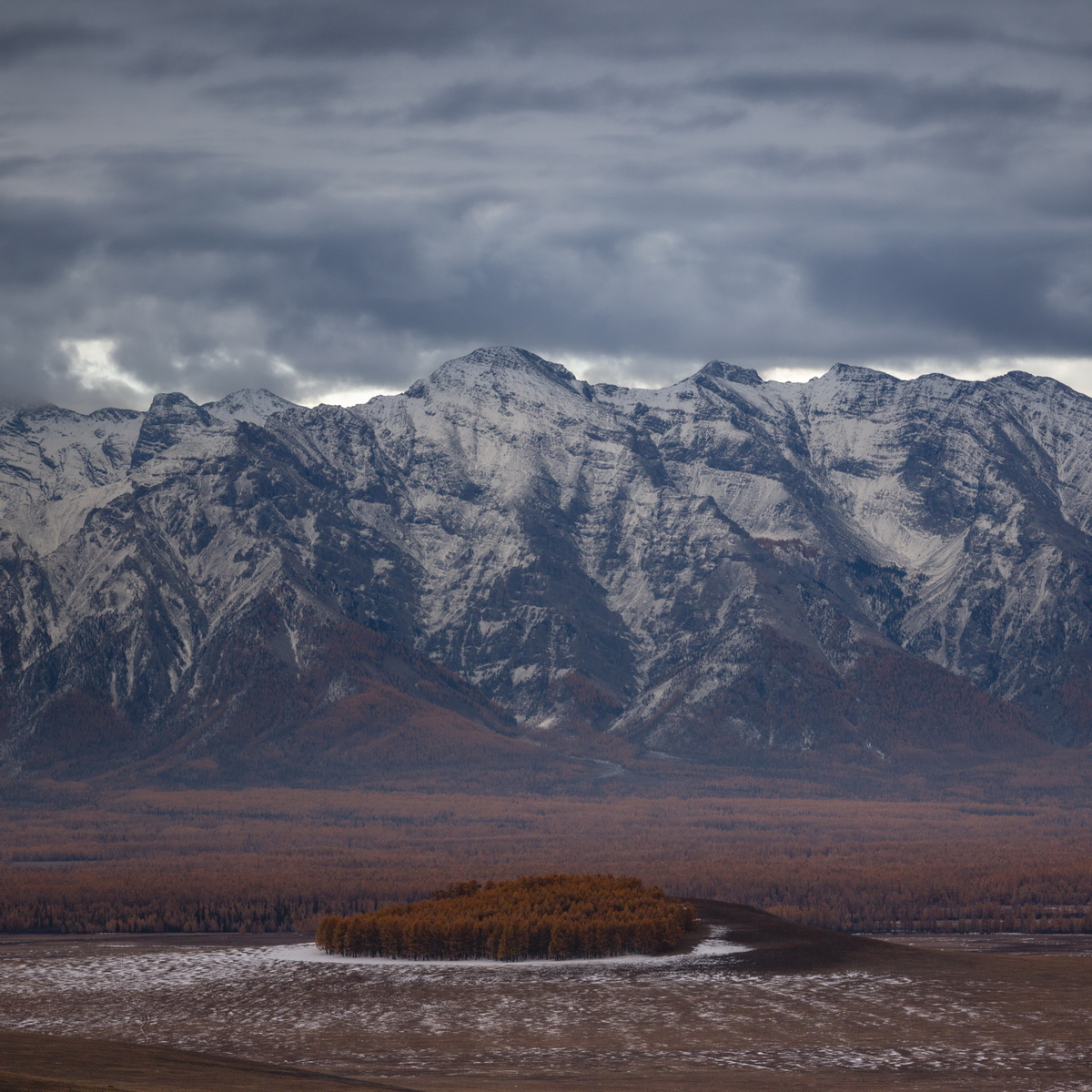 , Трофимов Алексей