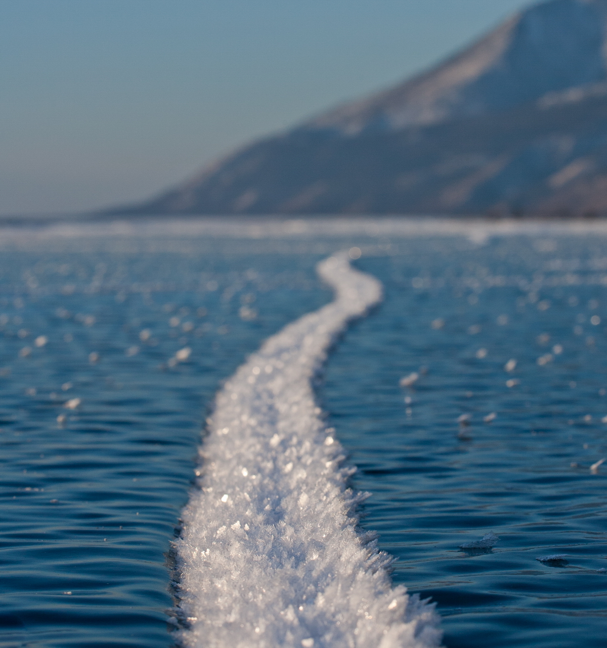 , Трофимов Алексей