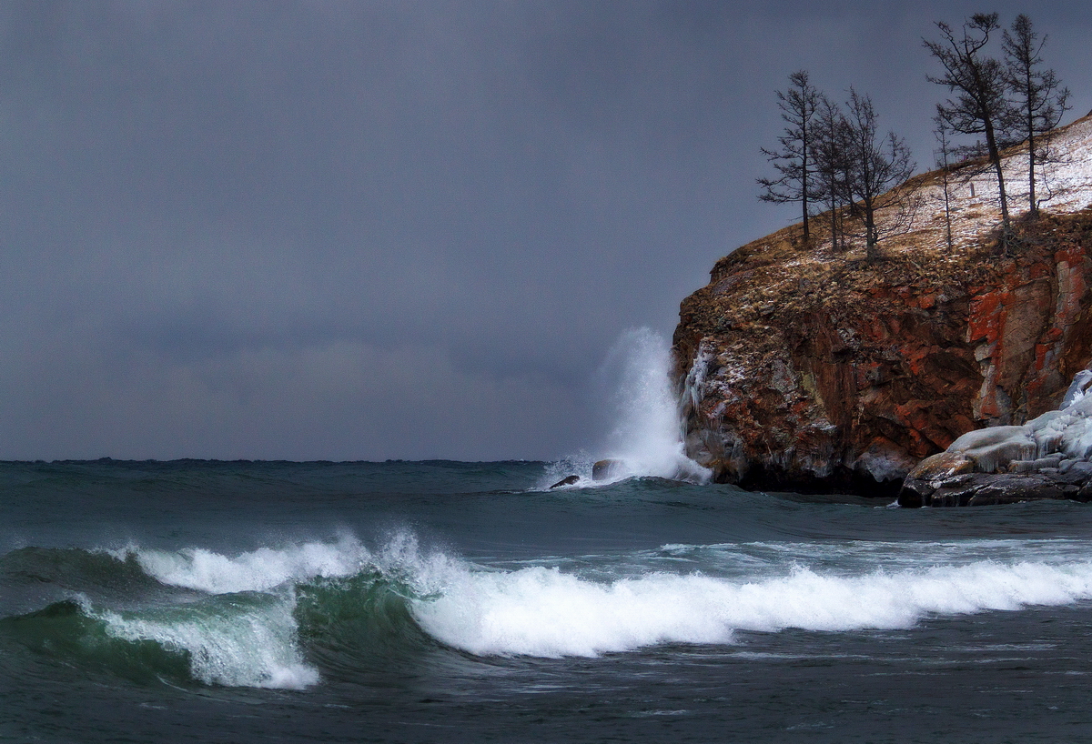 , Трофимов Алексей