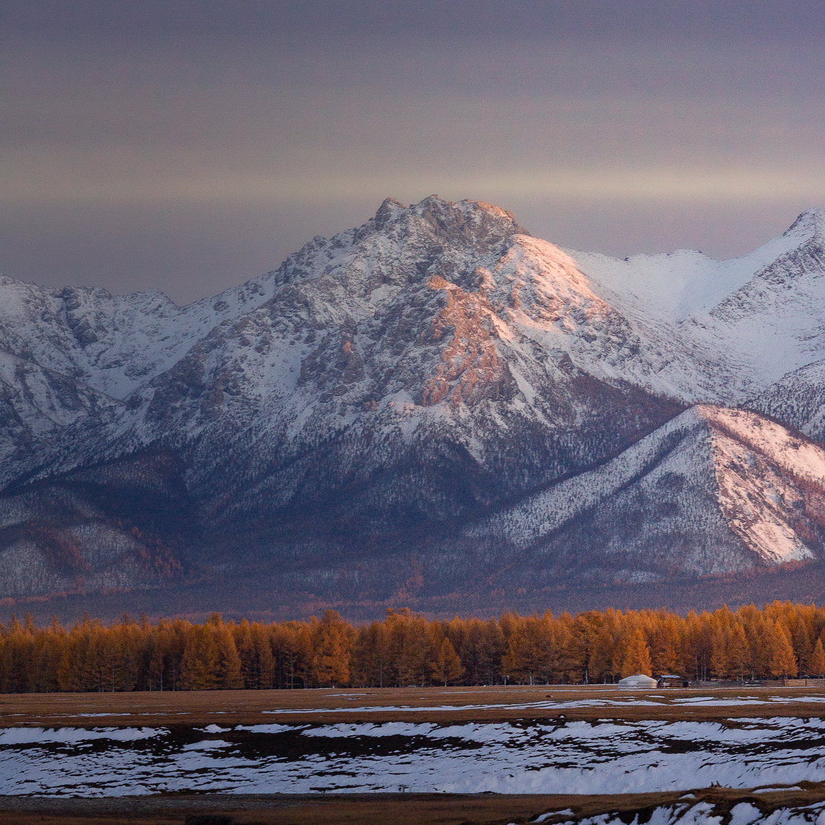 , Трофимов Алексей