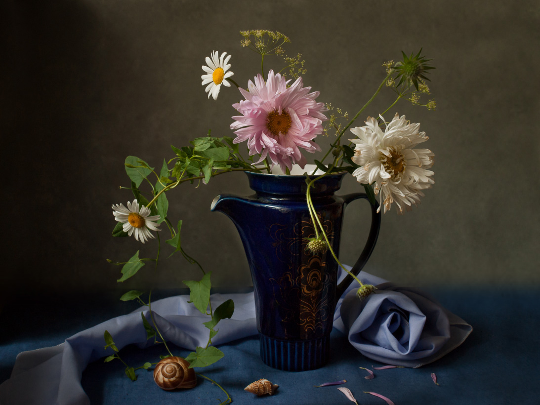 август, астры, Колеснева Елена