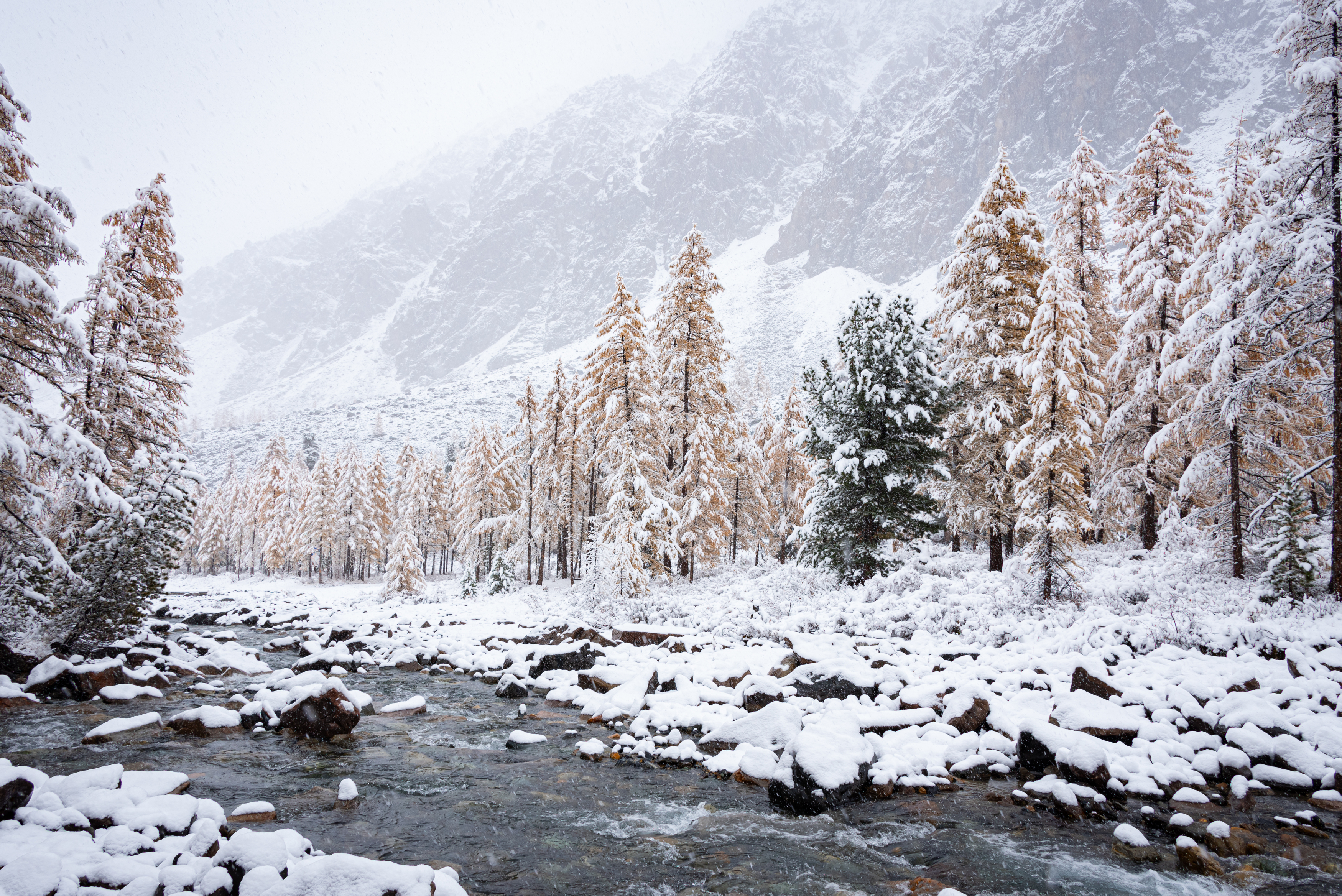 Алтай, осень, Актру, река, метель, снег, Степанова Татьяна