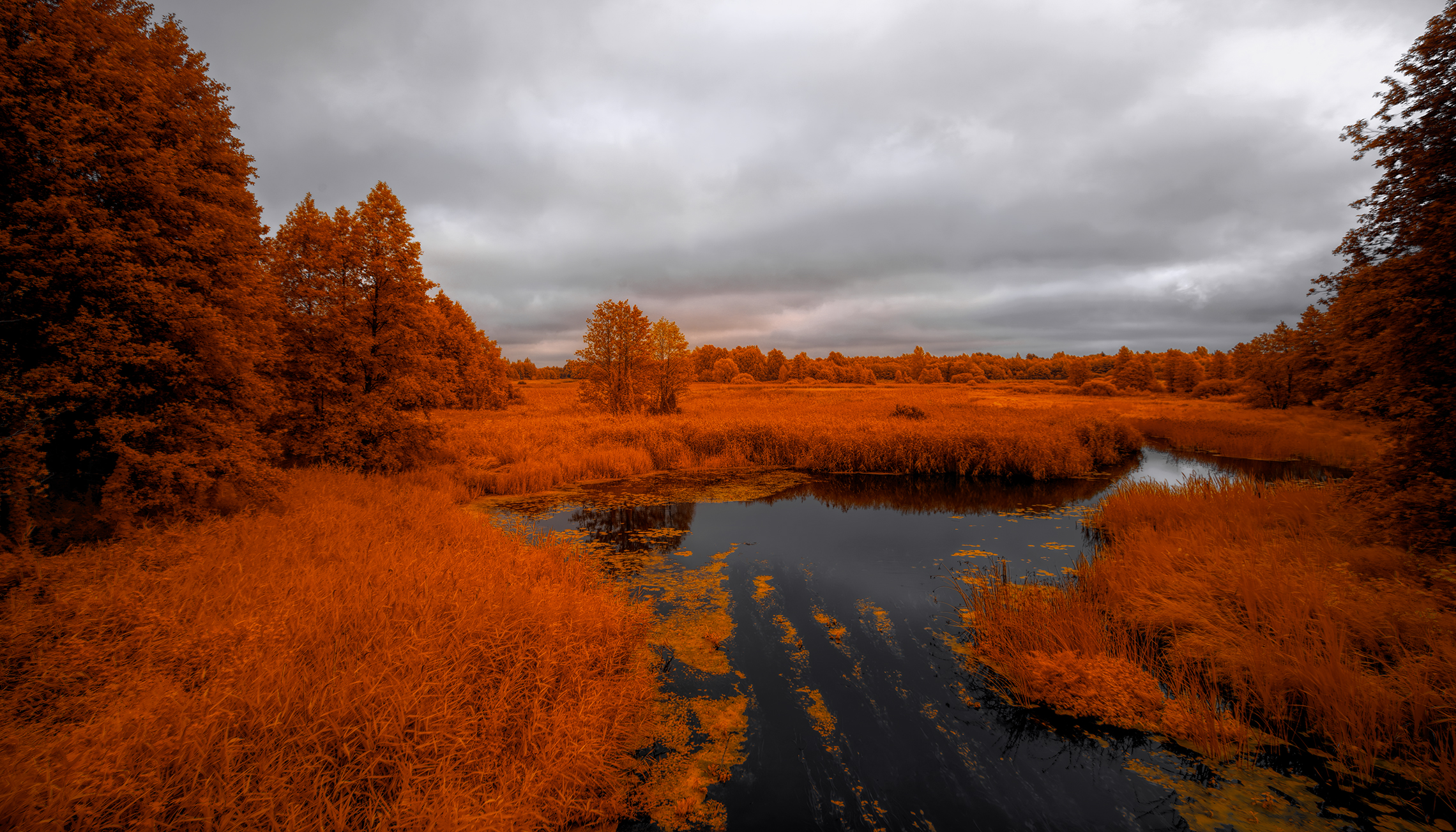 infrared, ик-фото, инфракрасное фото, инфракрасная фотография, пейзаж, лето,  Sixten (Сергей)
