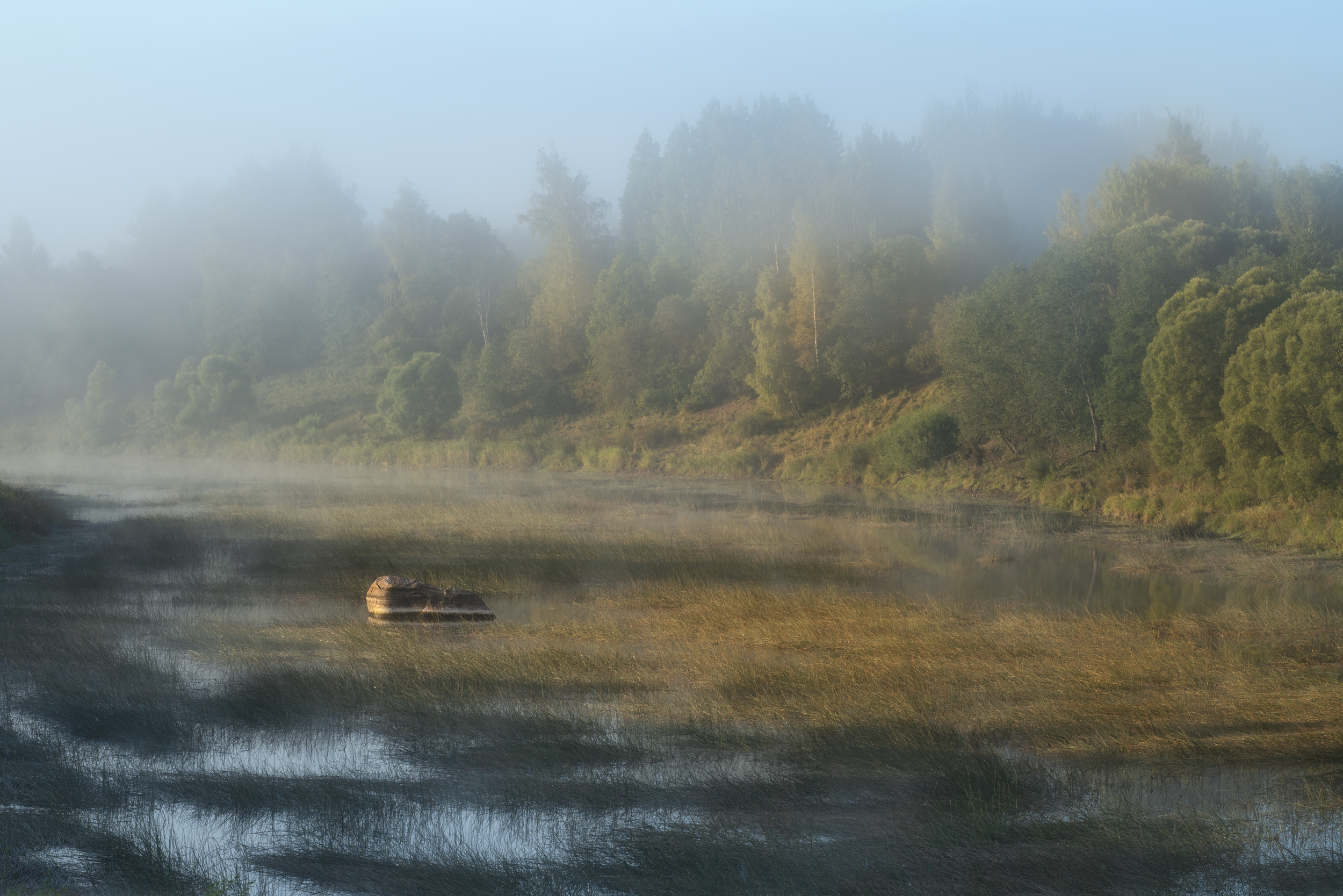 , Аброскин Игорь