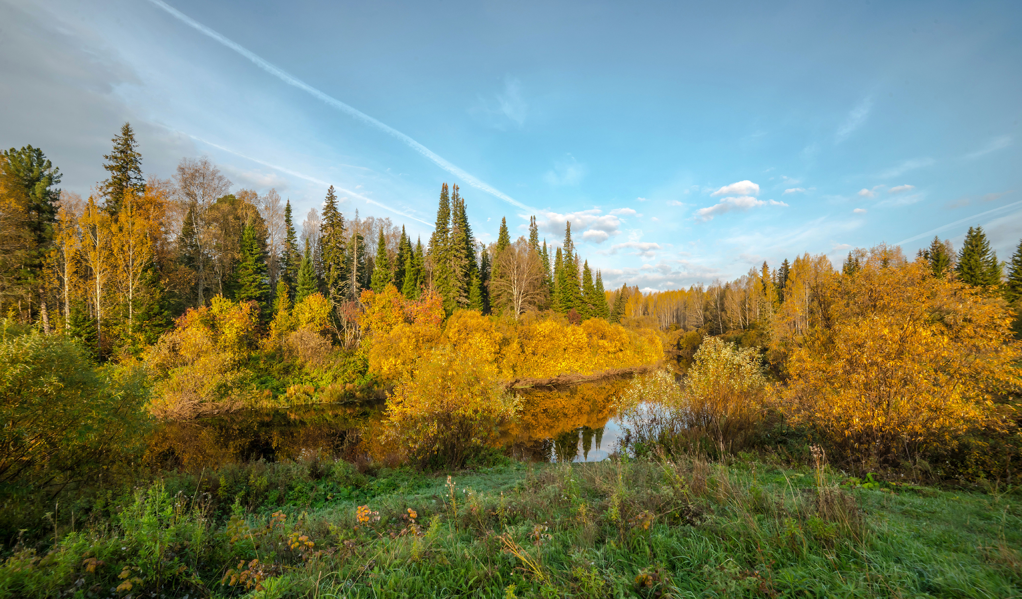 , Белоусов Михаил