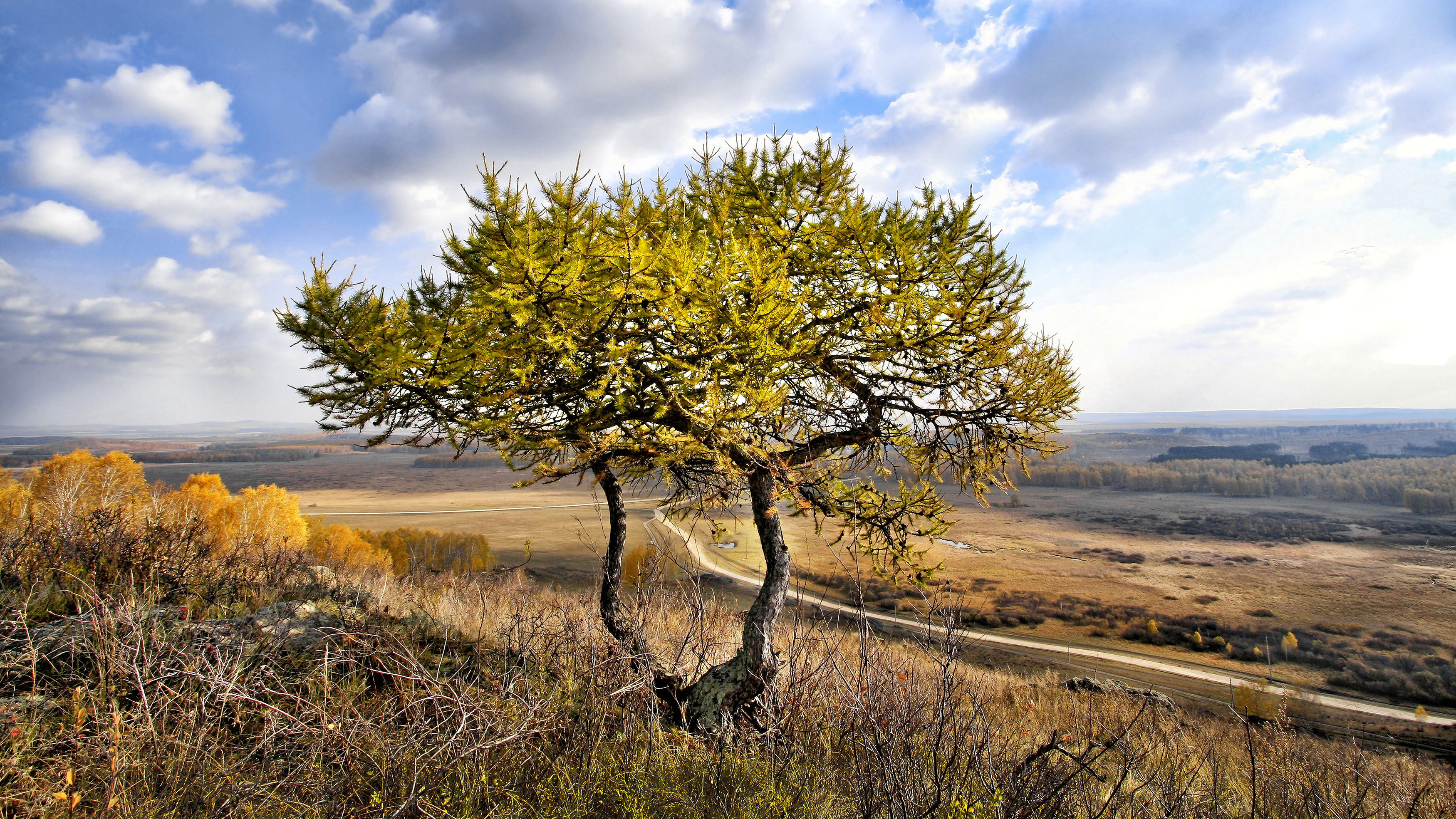, Ушаков Валерий