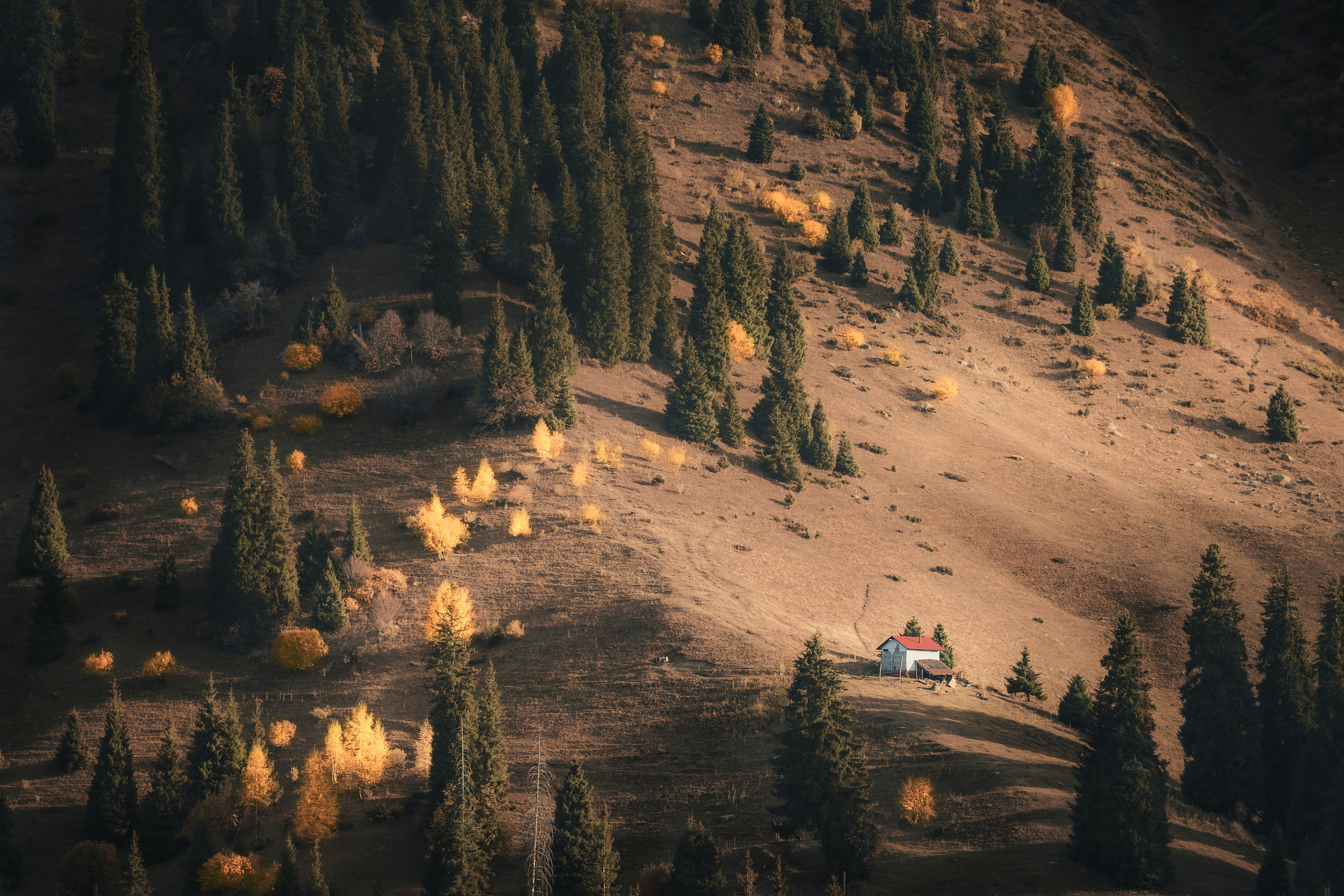 , Купчиков Илья