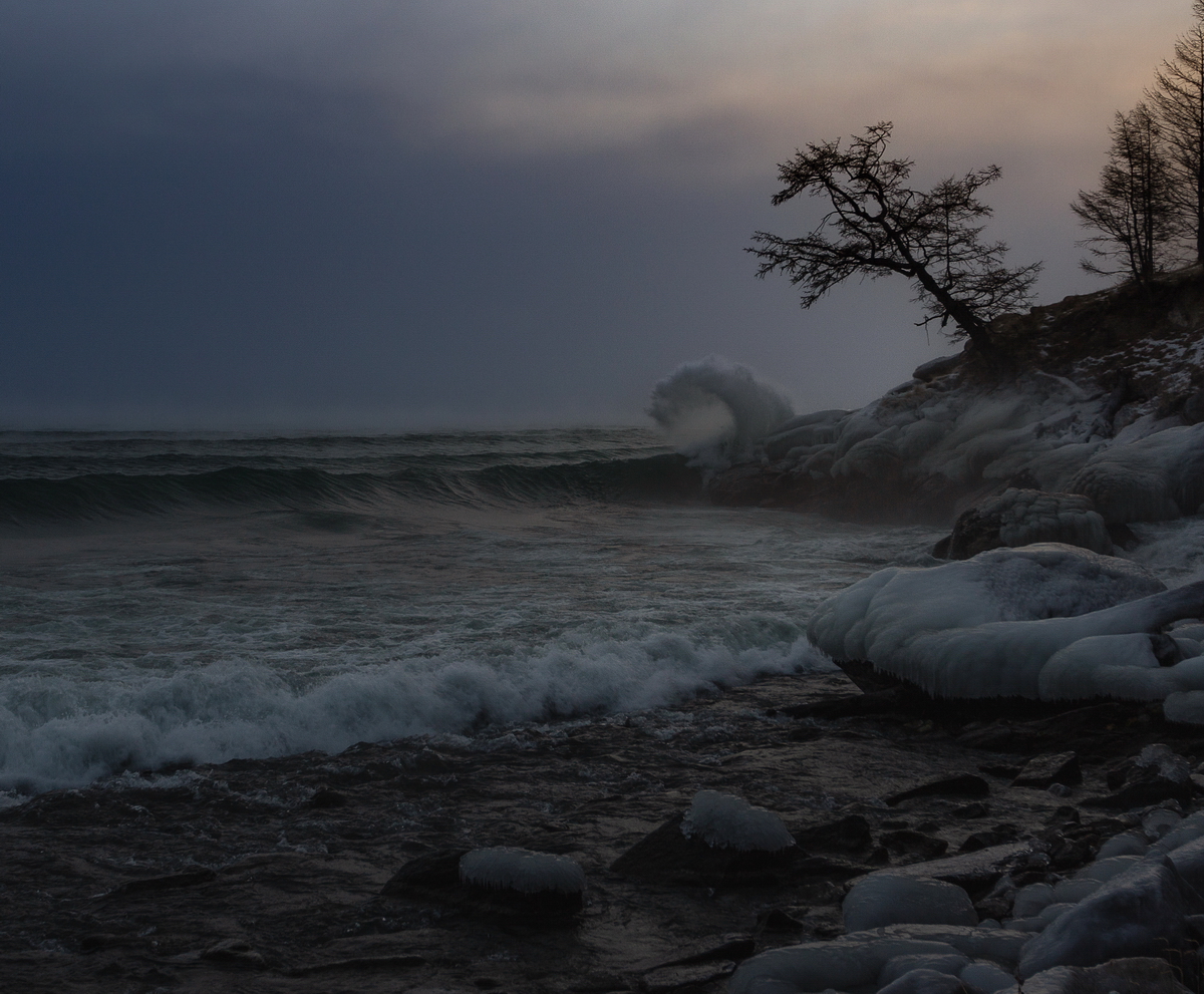 , Трофимов Алексей