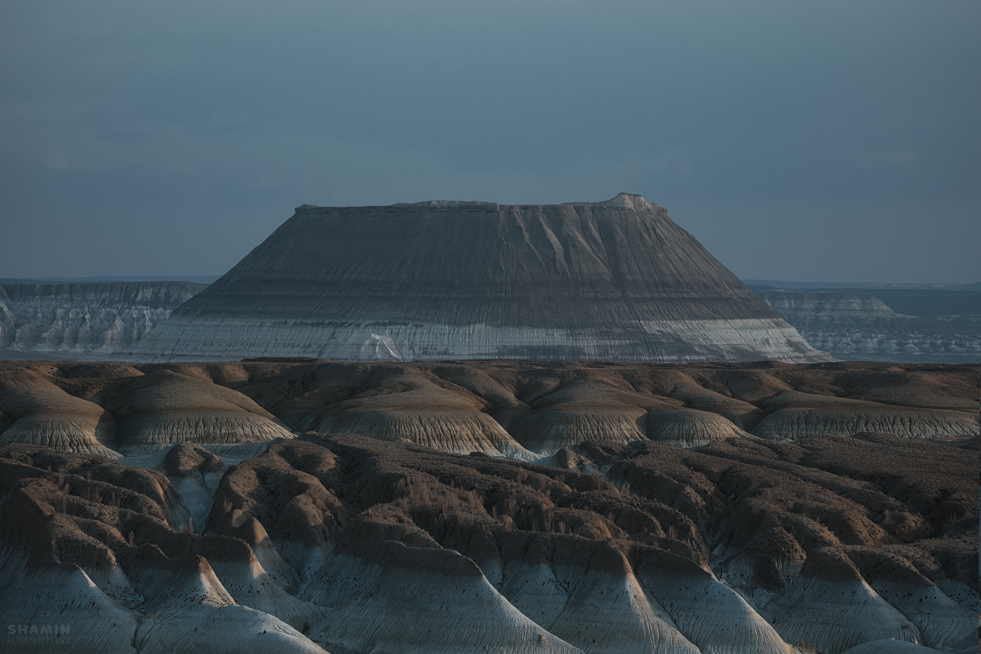 , Константин Шамин