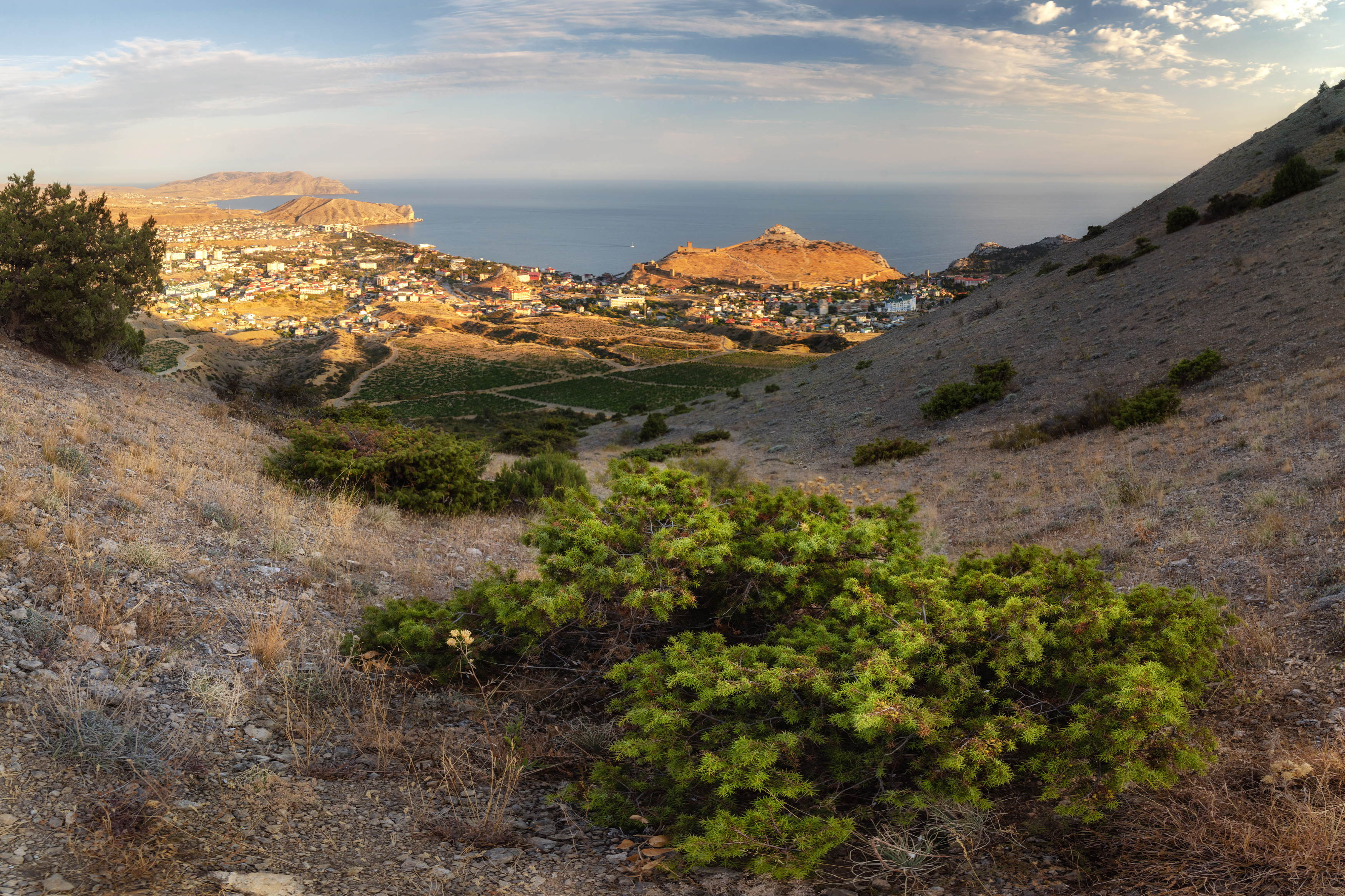 крым, Малыгин Андрей