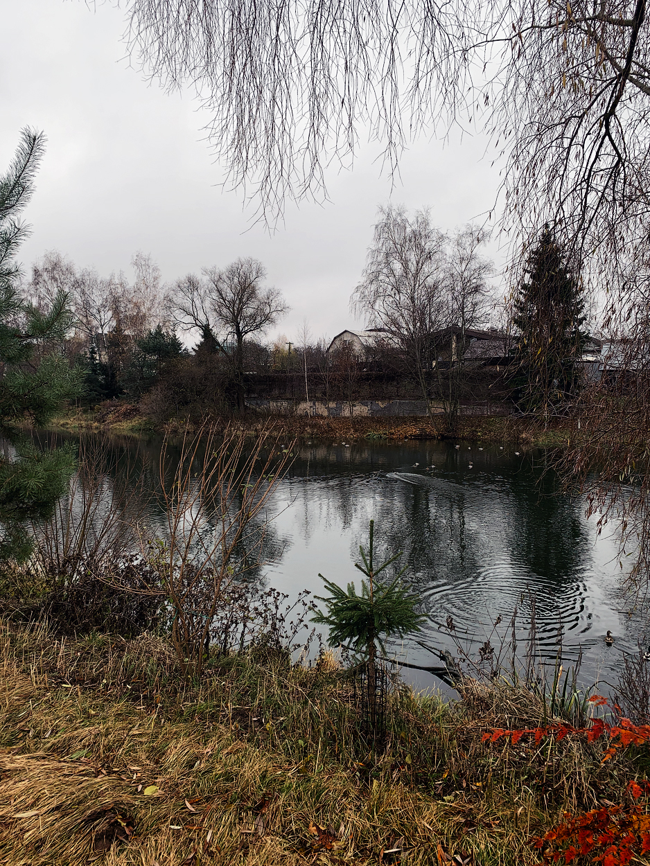 , Новикова Ольга