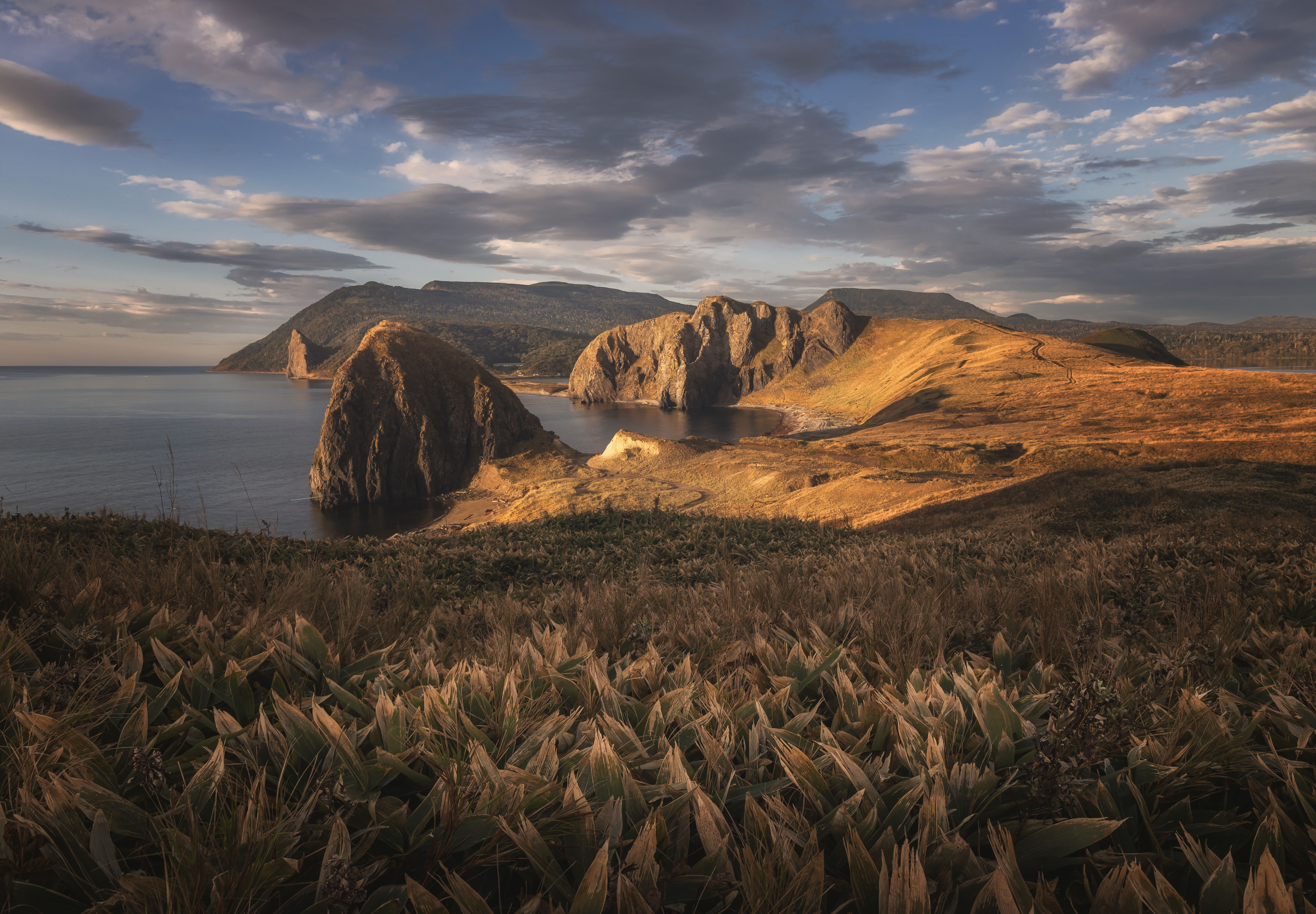 , Грамаков Юрий