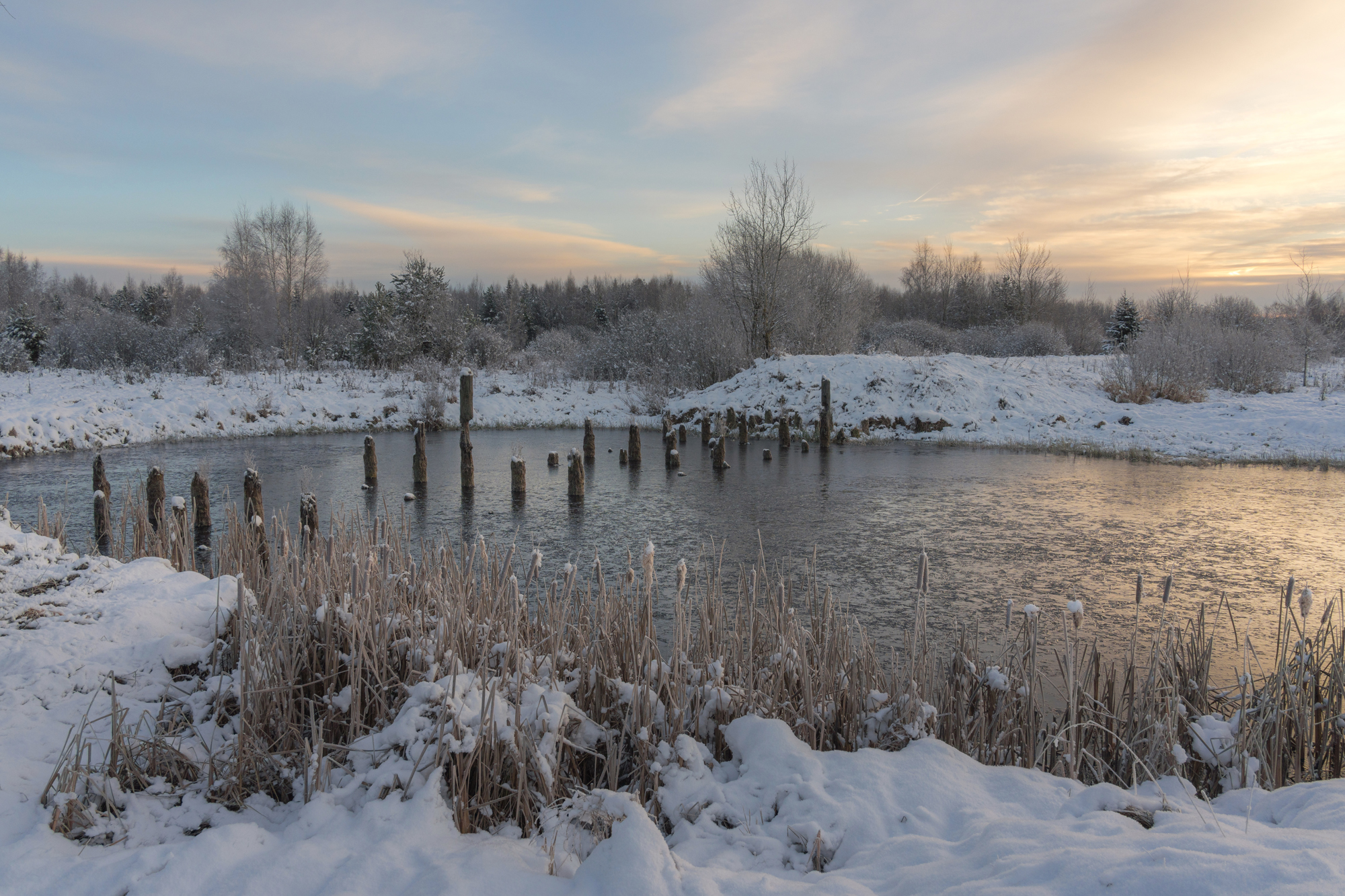 , Добродий Михаил