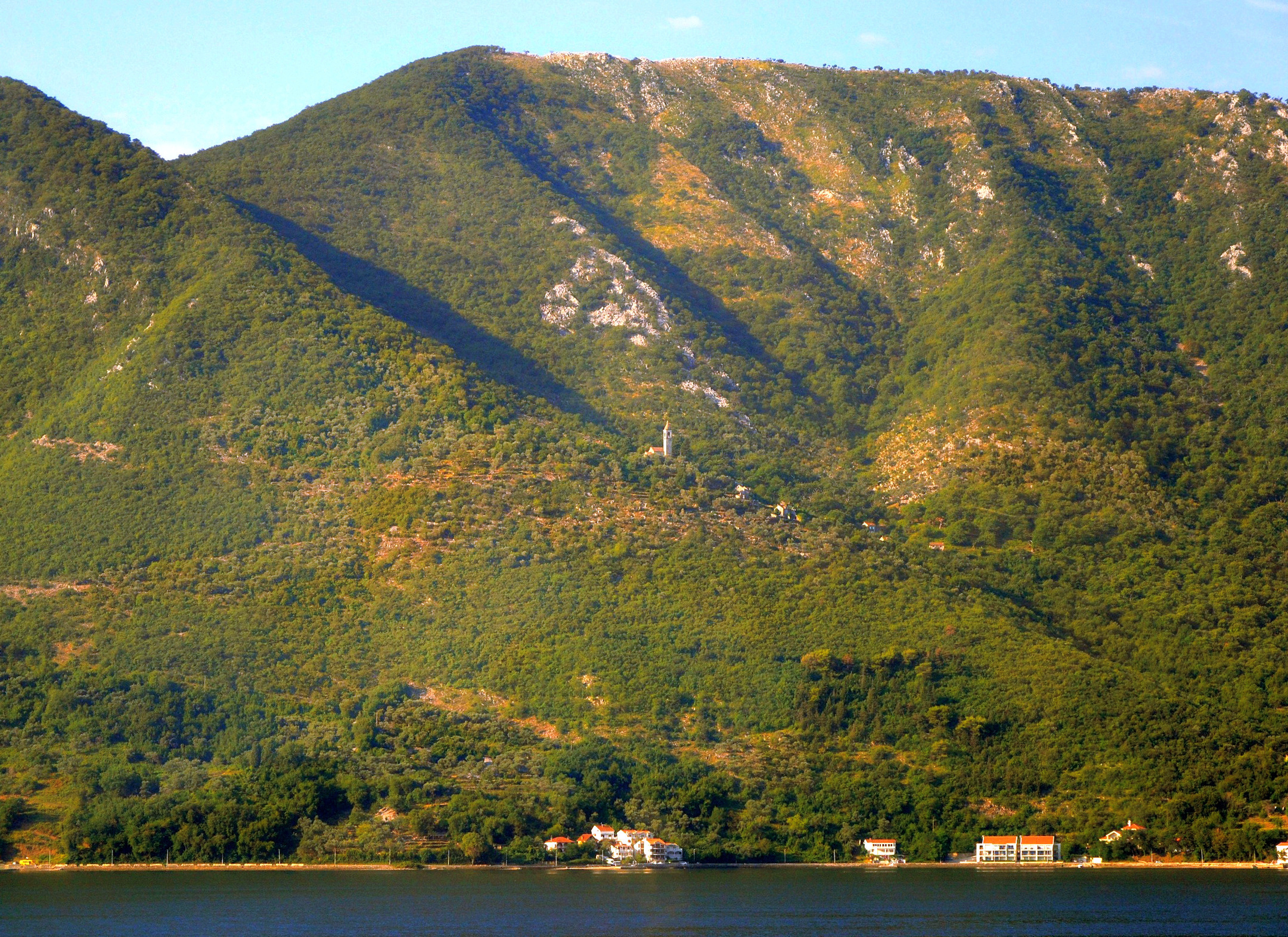 , Шустиков Дмитрий