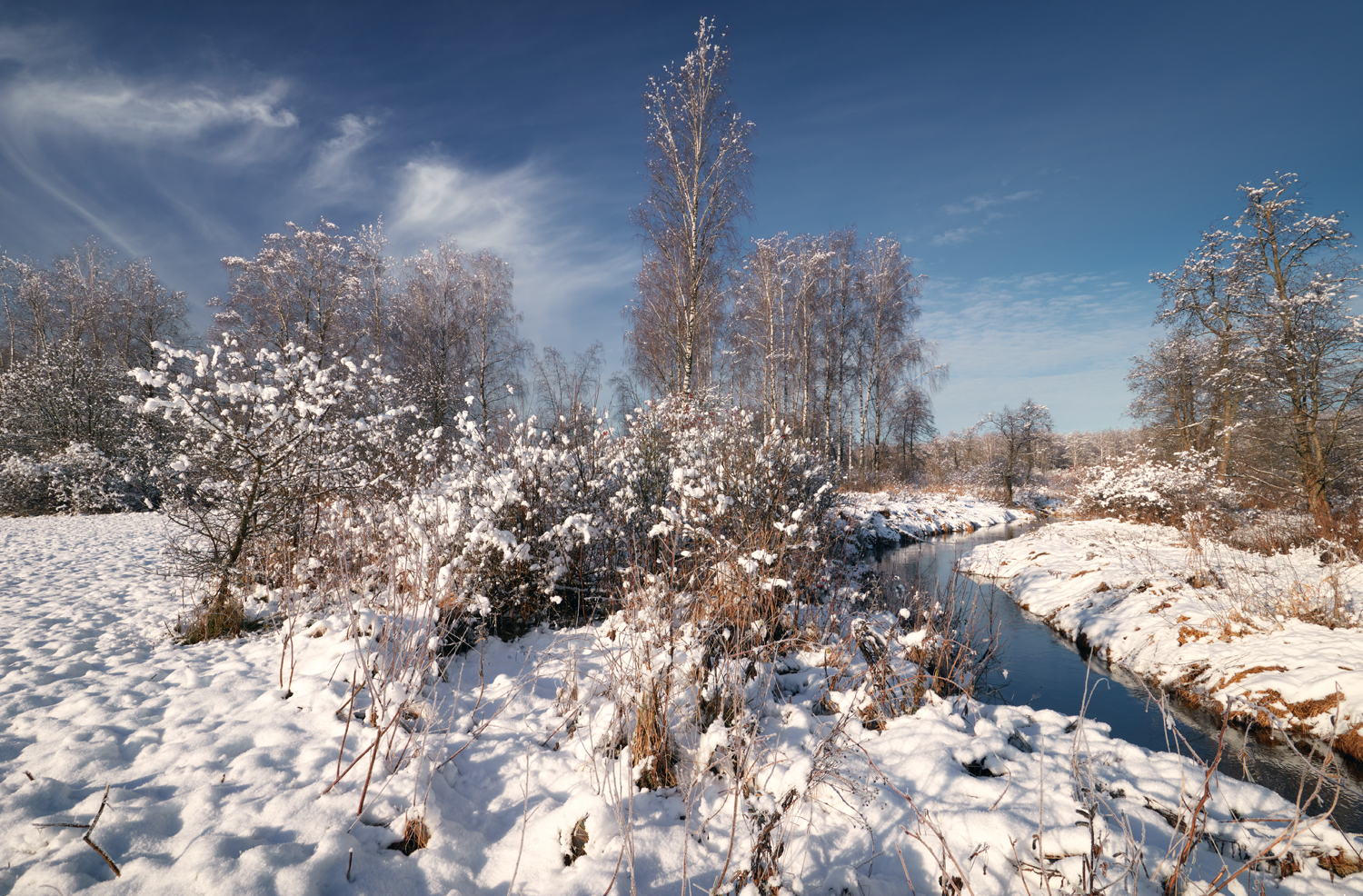 , Роман Лушпа