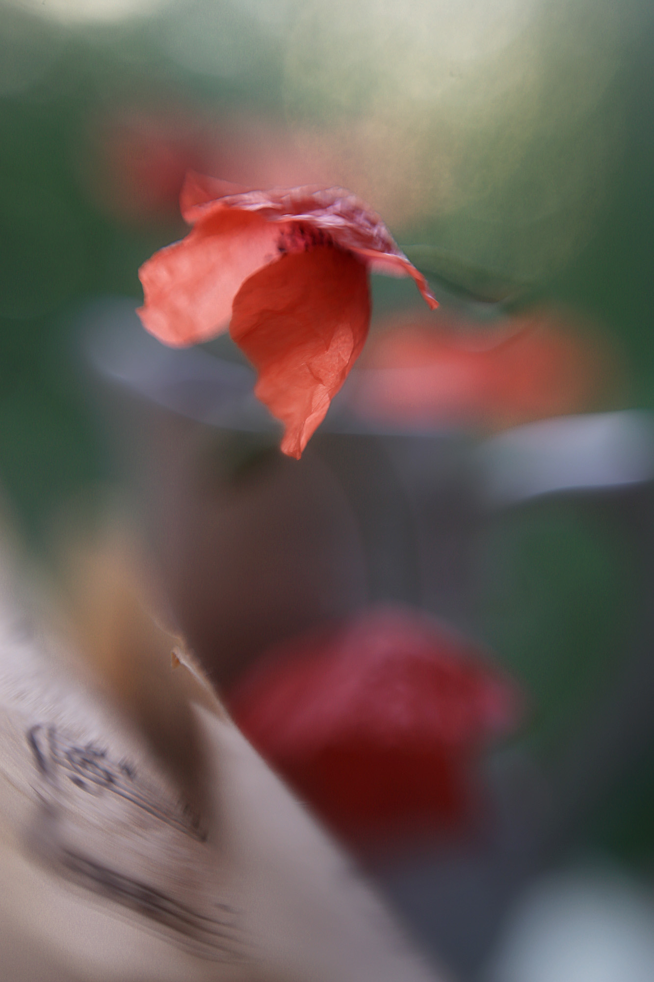 акварель ,мак, ноты, ключ, стихи,мануальный объектив гелиос 81 н,ирина горюкина, беларусь,внутренний свет, ИРИНА ГОРЮКИНА