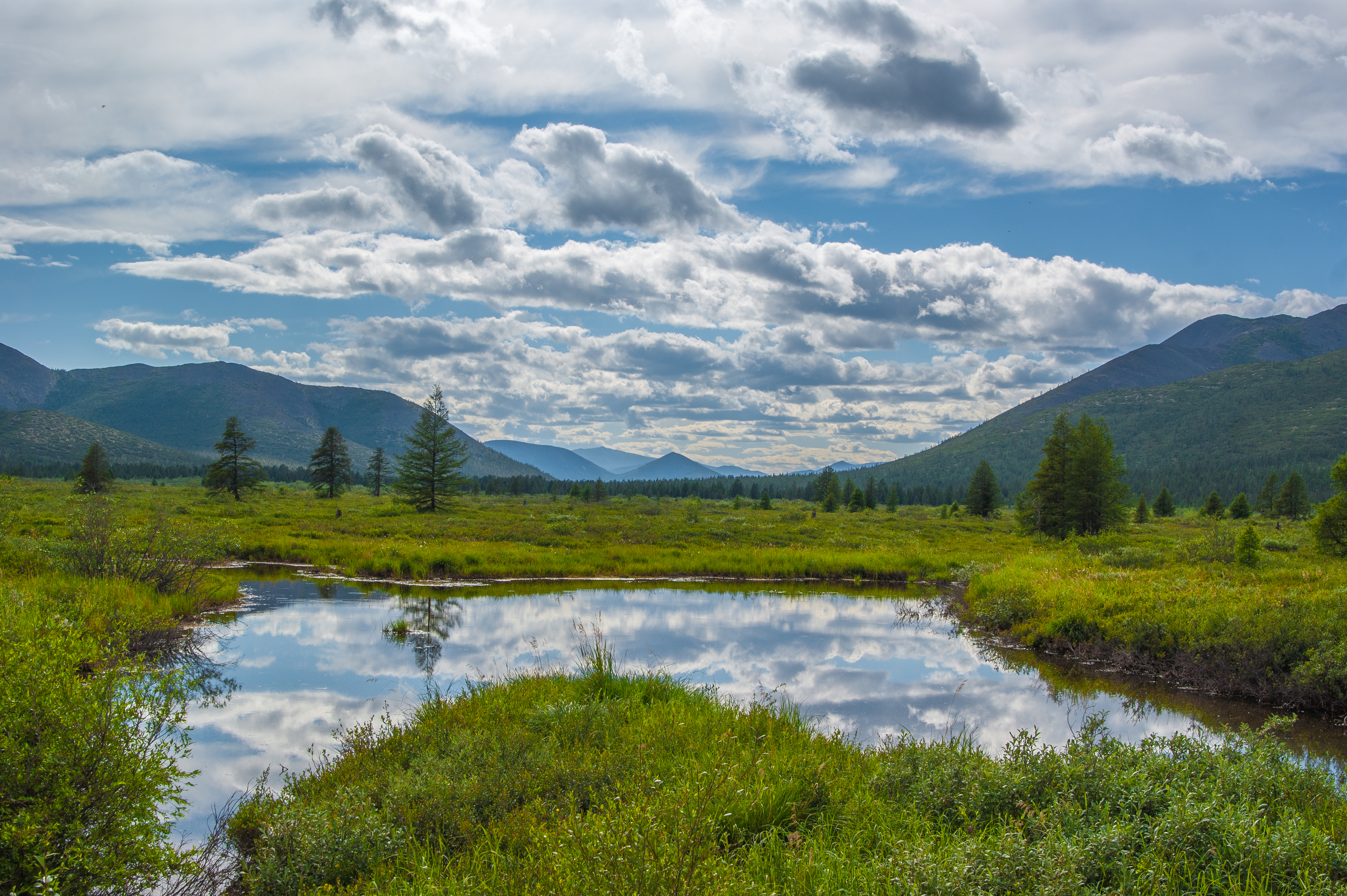 , Андрей Загребельный