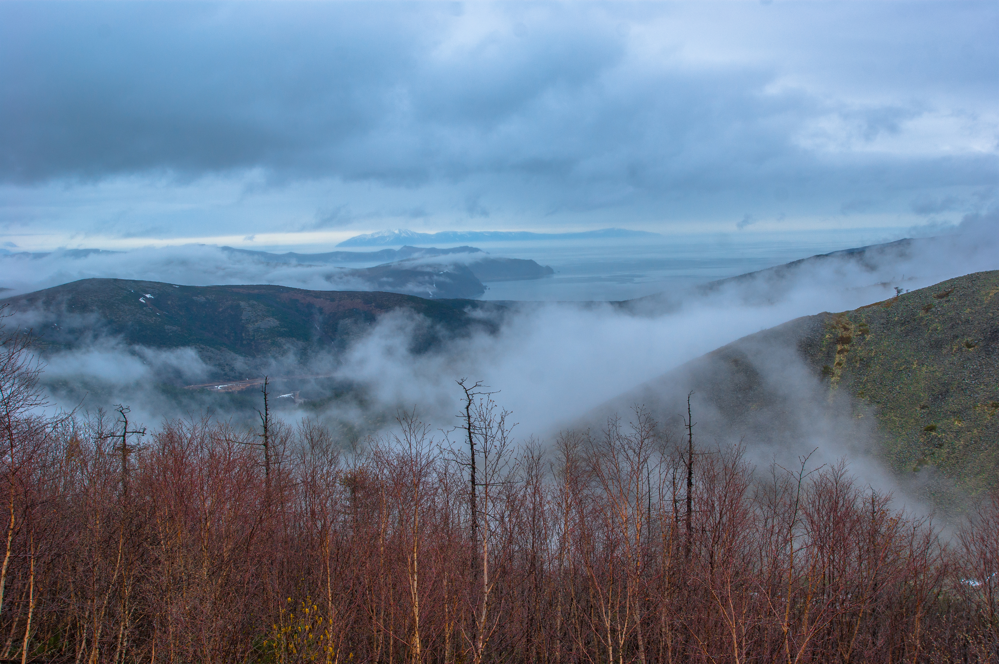 , Андрей Загребельный
