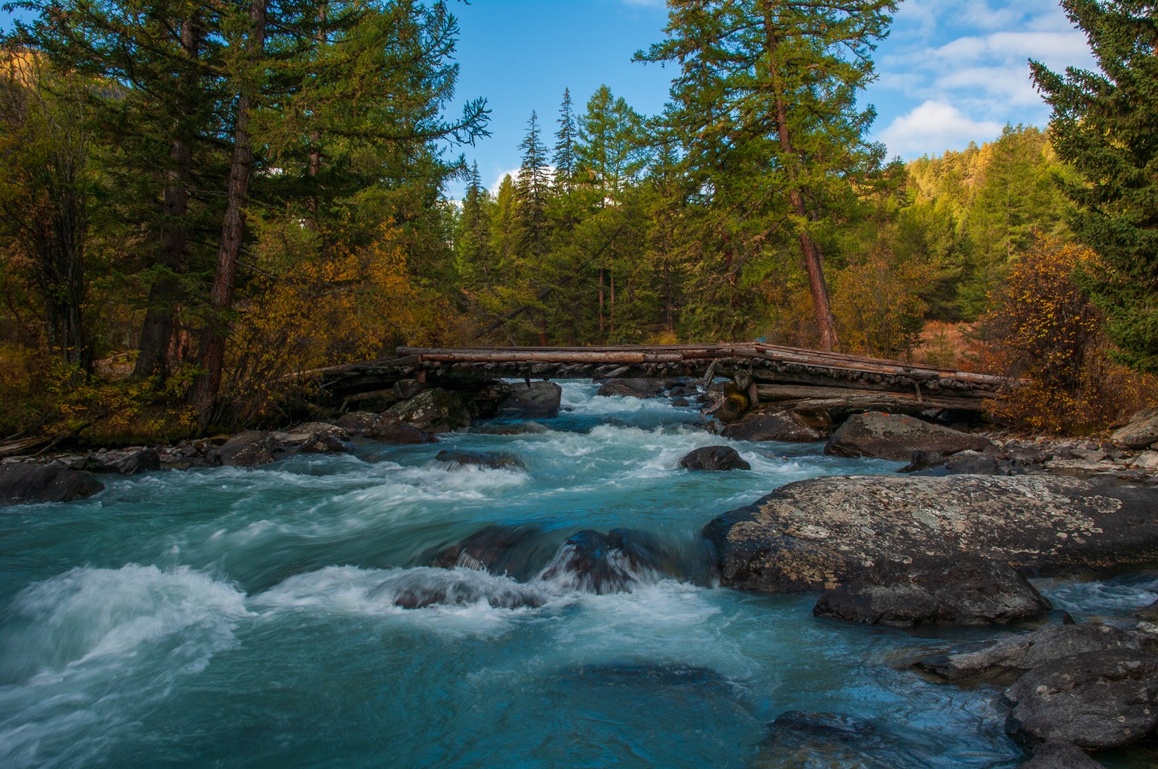алтай, чуя, маашей, осень, лиственницы, утро, река, долина, горы, мост, Мальцев Юрий