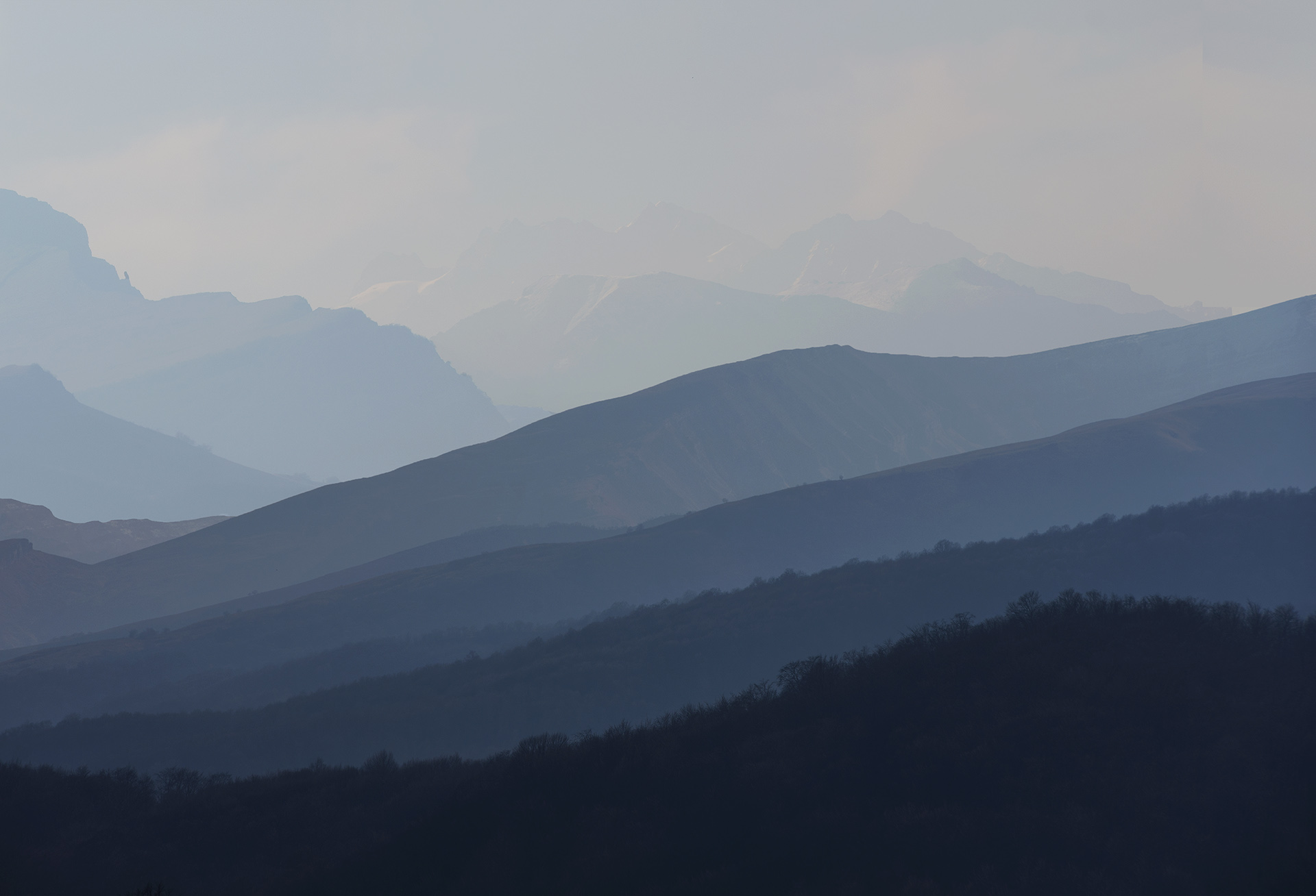 , Хасан Журтов