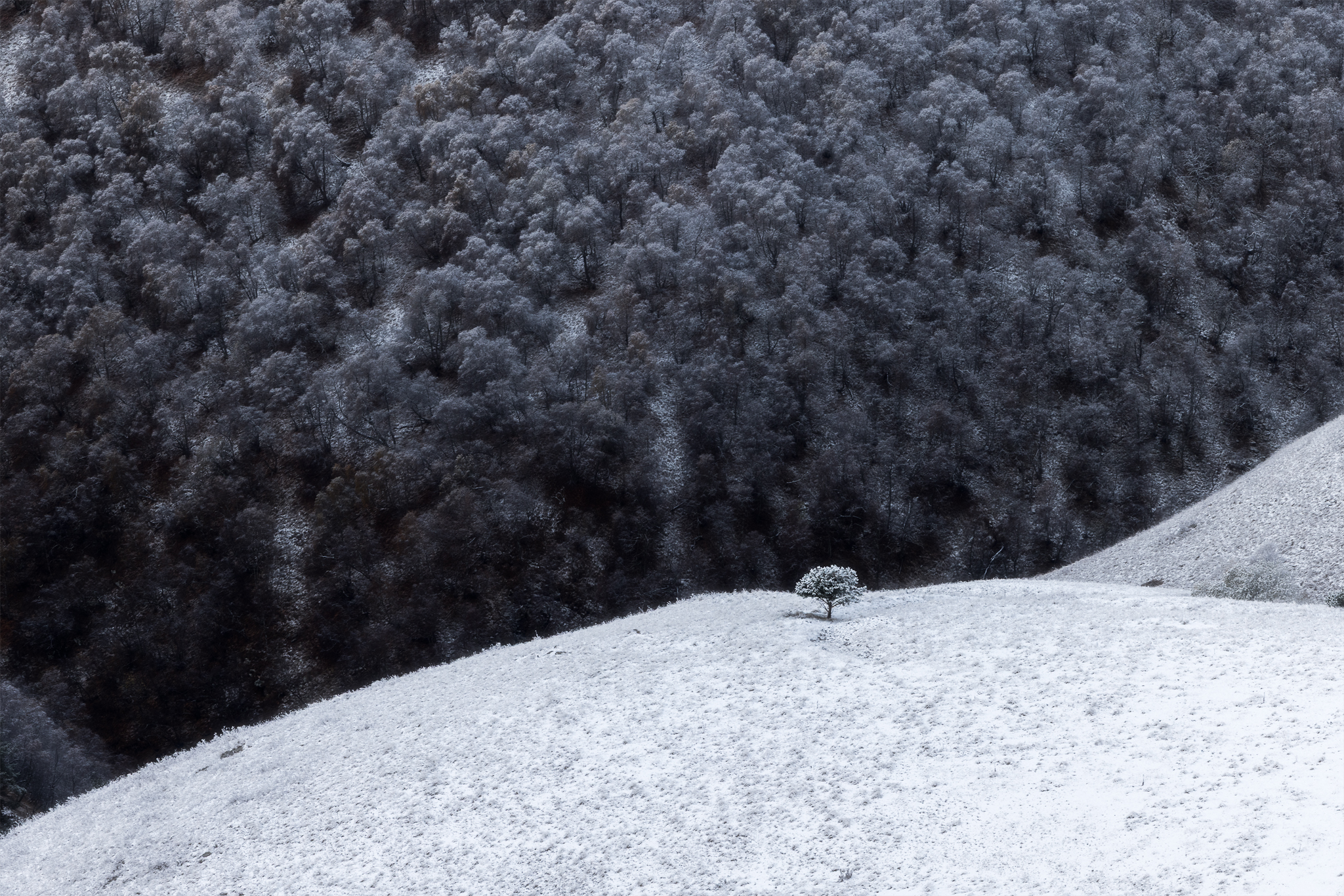 кавказ, кабардино-балкария, эльбрус, джилы-су, главный кавказский хребет, Телешов Александр