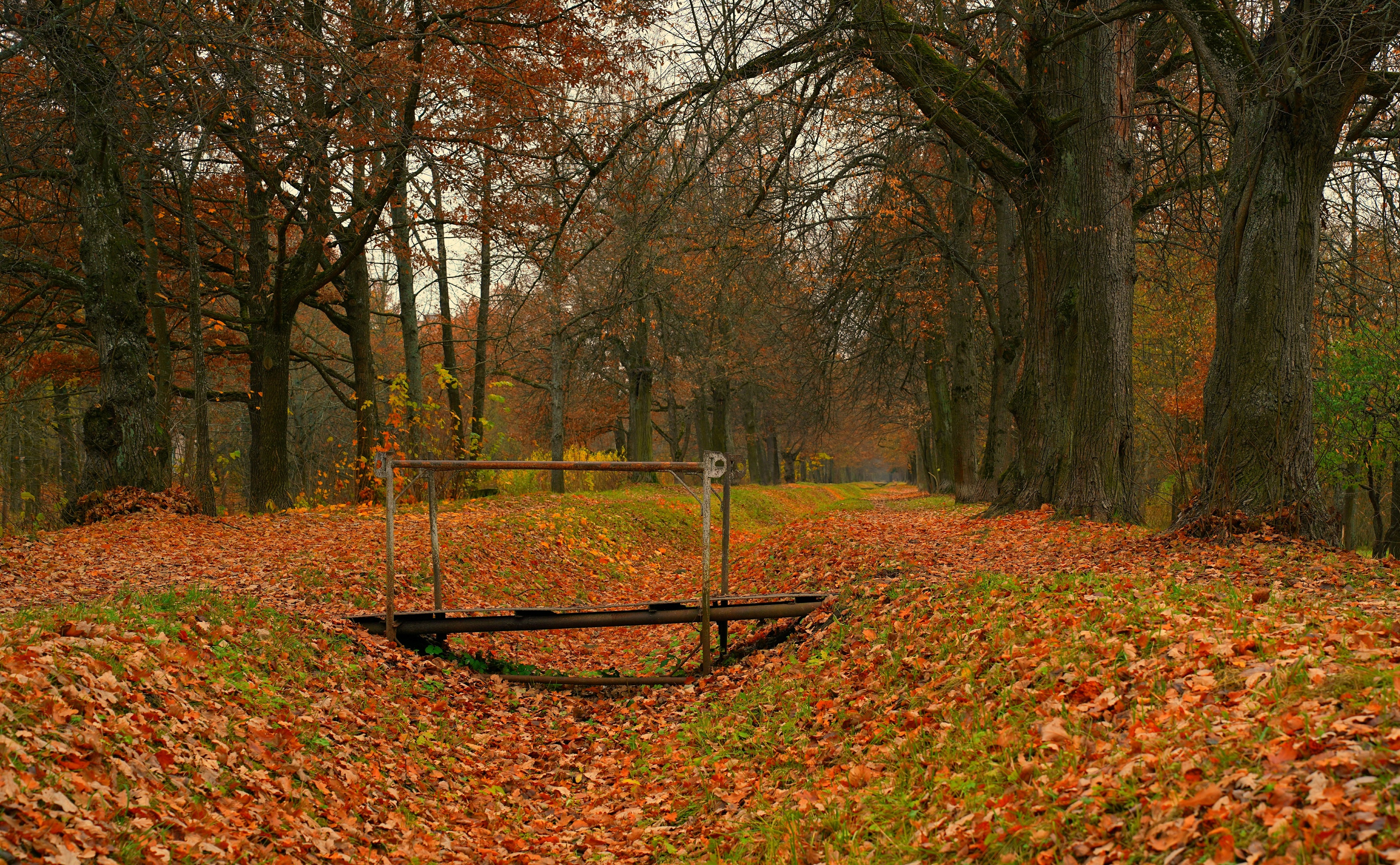 ,  Сергей Андреевич