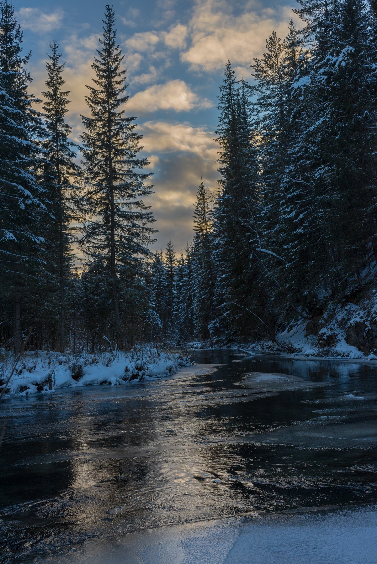 базаиха ноябрь, Беляев Юрий