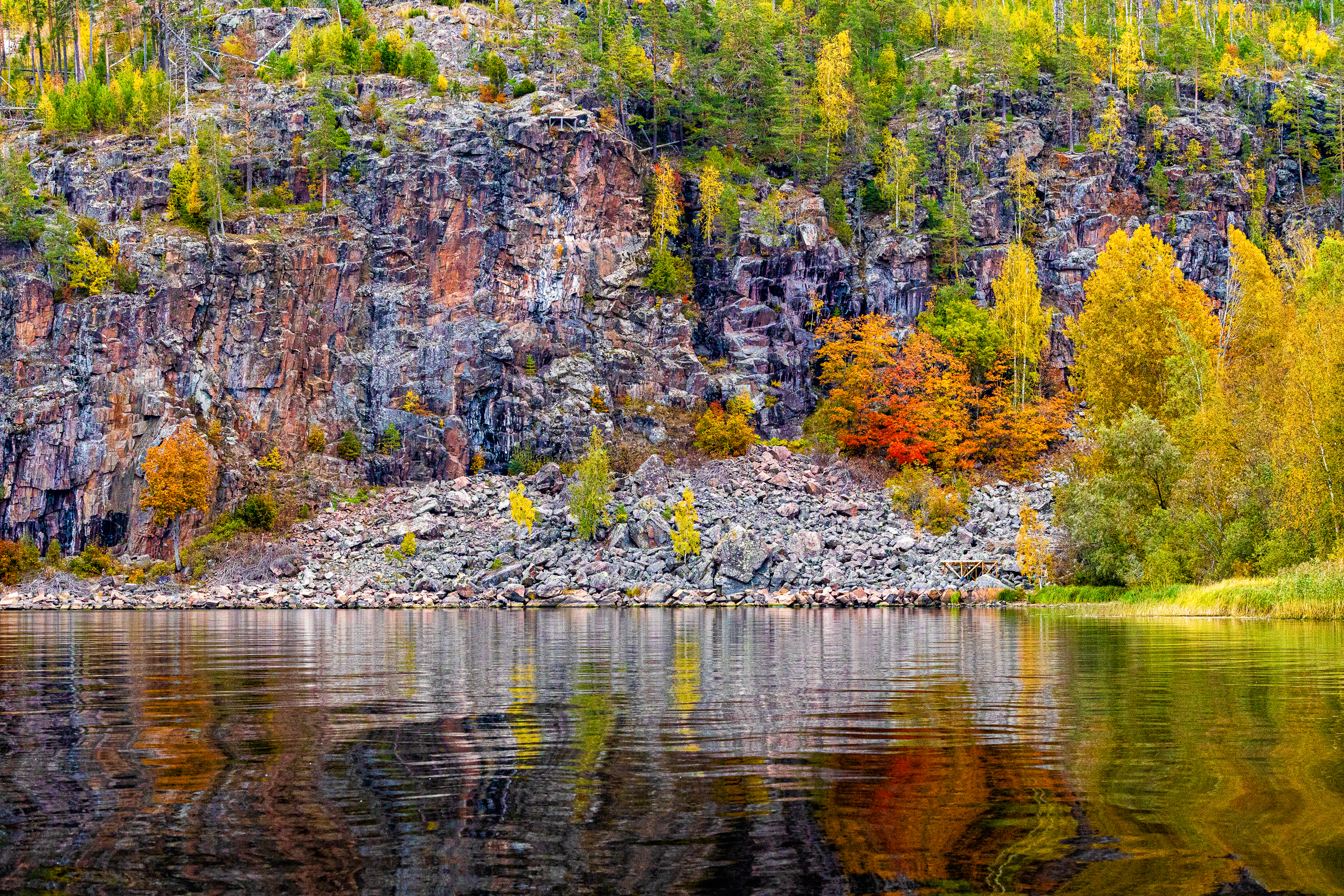 Ладога, Осень, Деревья, Отражения, Критский Игорь