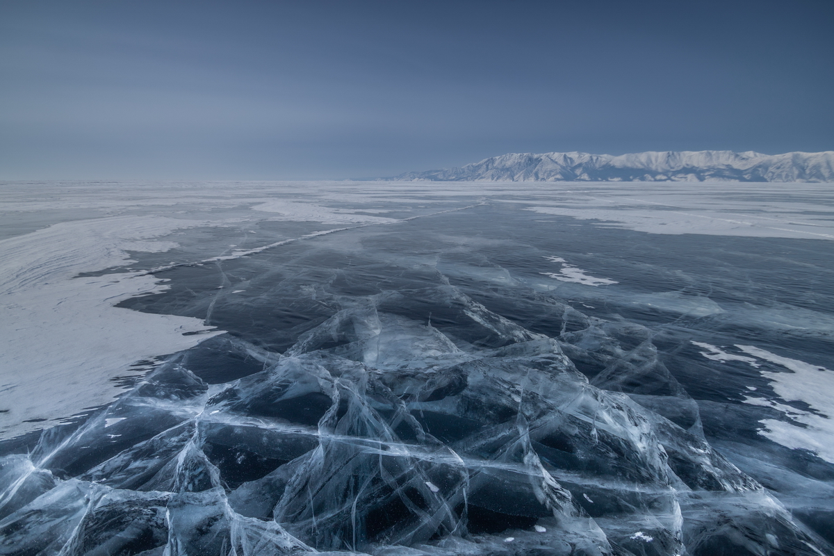 , Трофимов Алексей