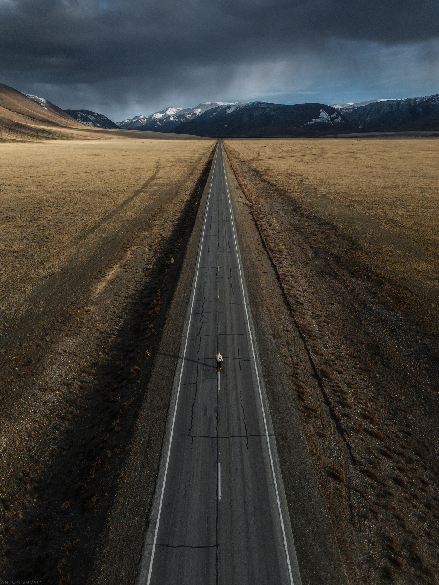 , Антон Шваин