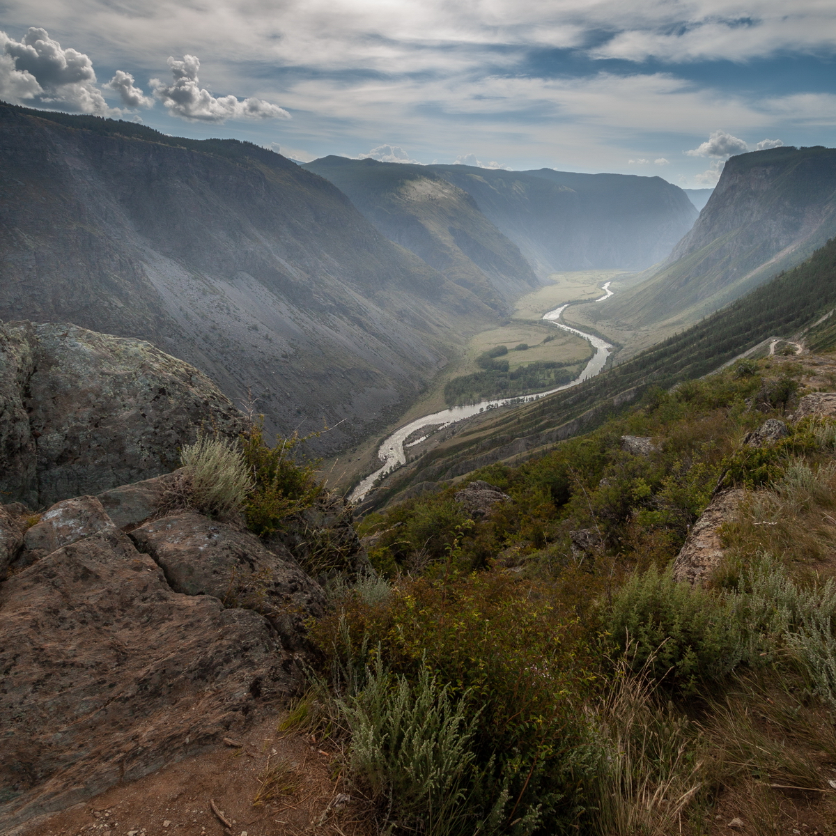 , Трофимов Алексей