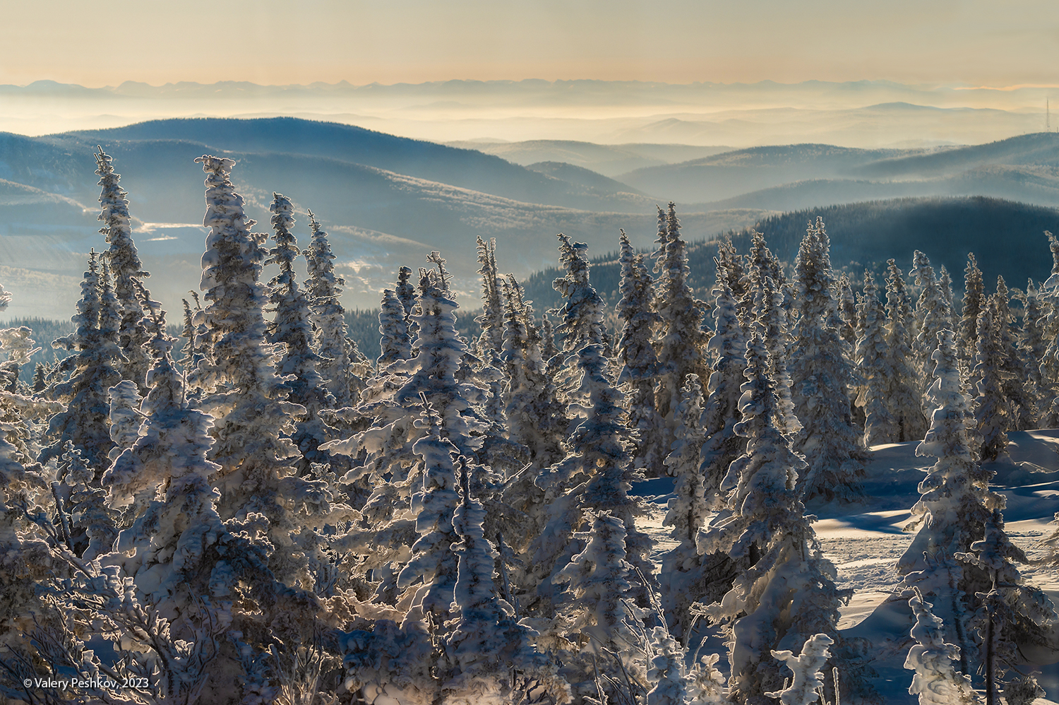 снег, иней, мороз, зима, пихты, кедры, гора зелёная, шерегеш, горная шория, сибирь, Пешков Валерий