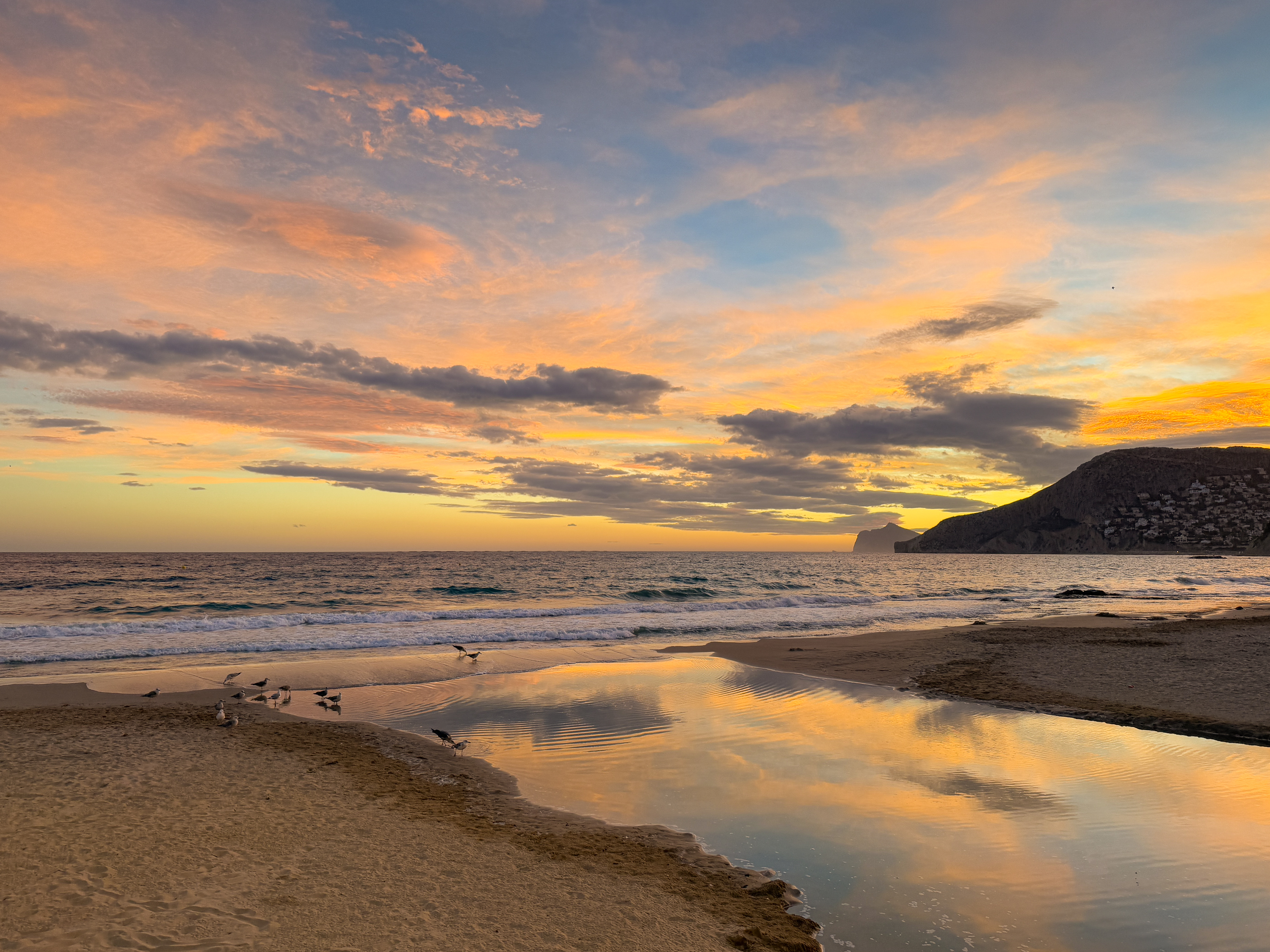 , Алекс Римский