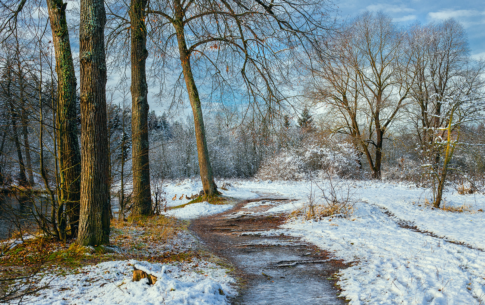 снег, природа, осень, зима, Виктор Климкин