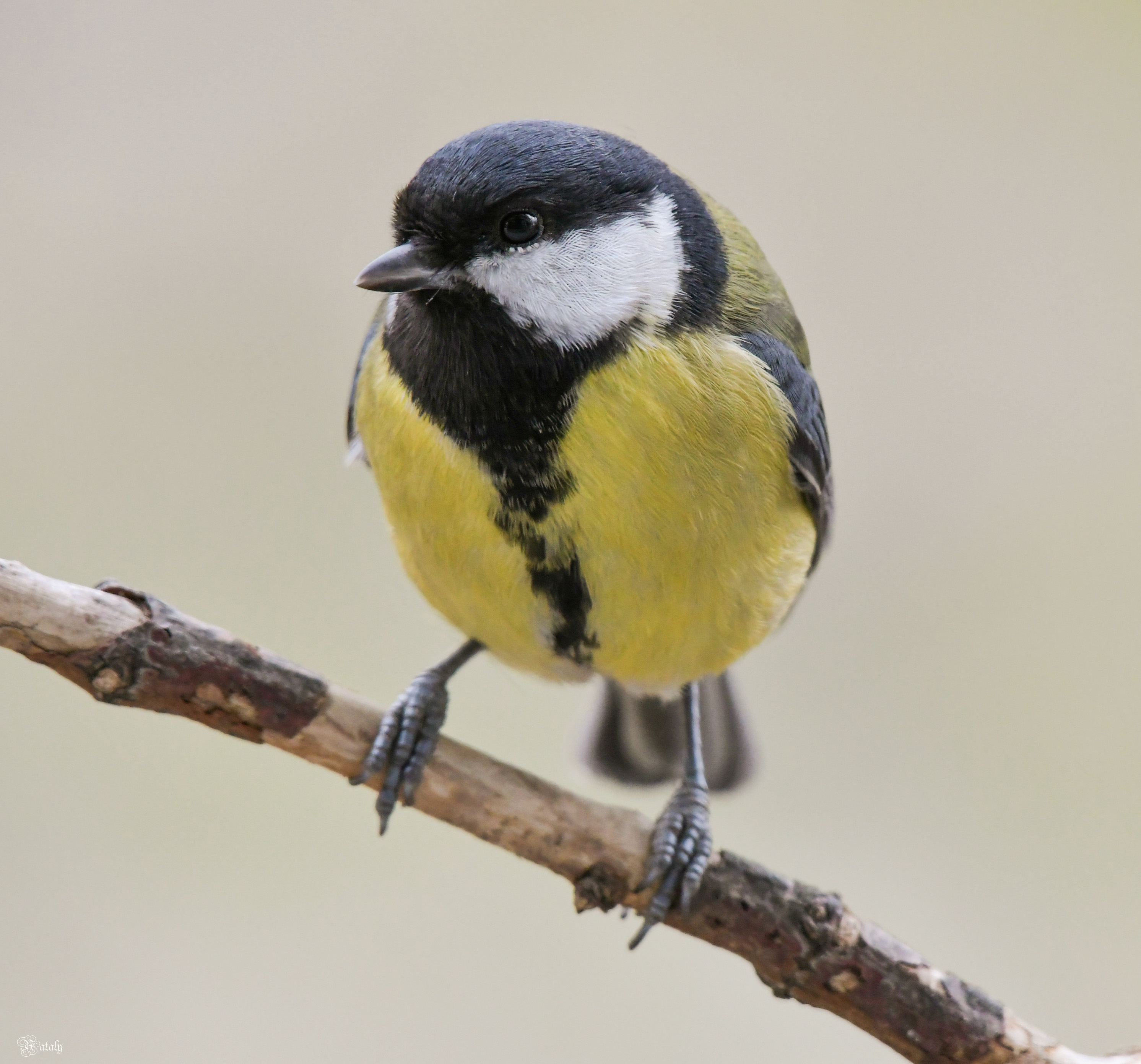 , Наталья Екимова