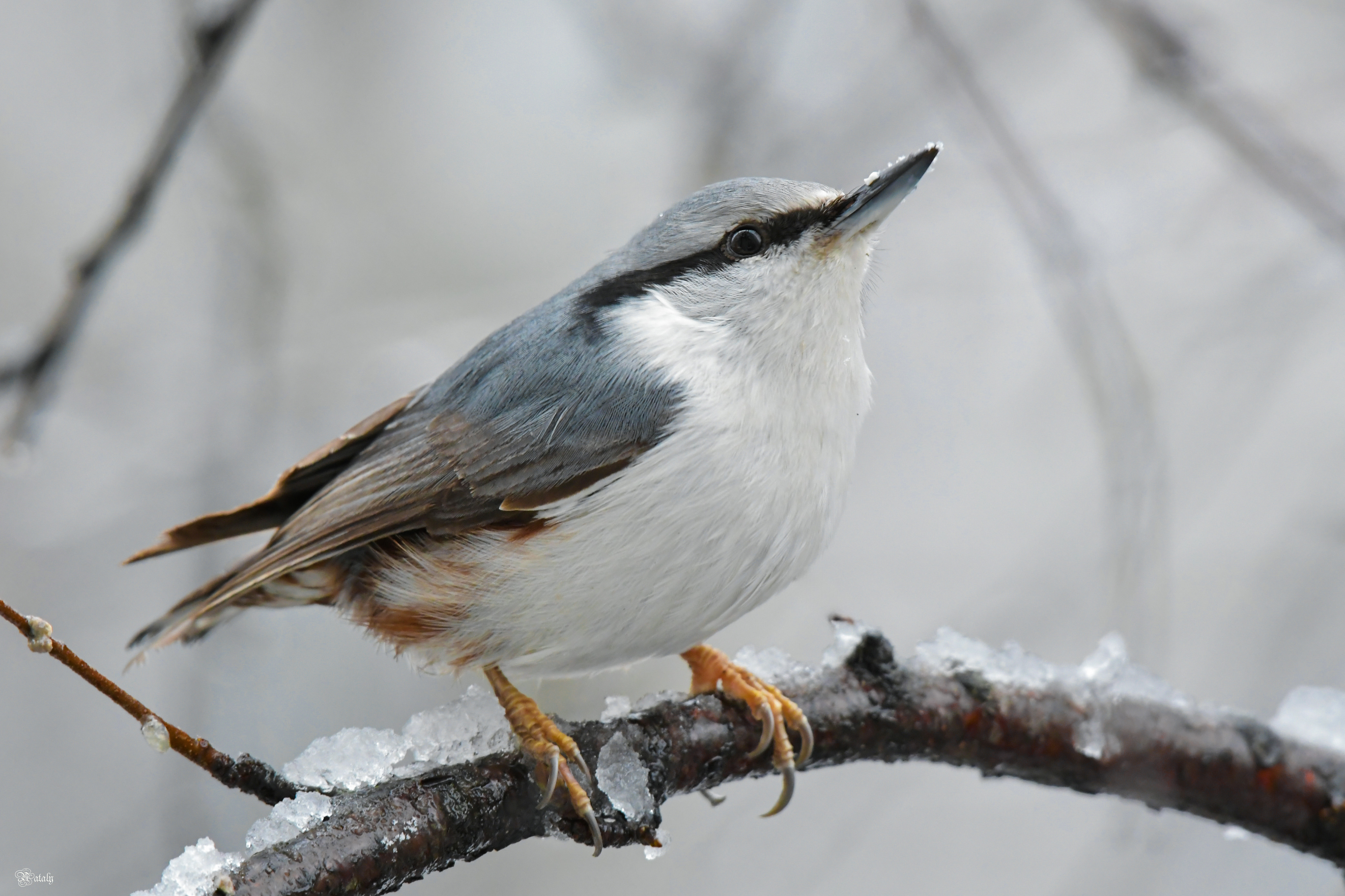 , Наталья Екимова