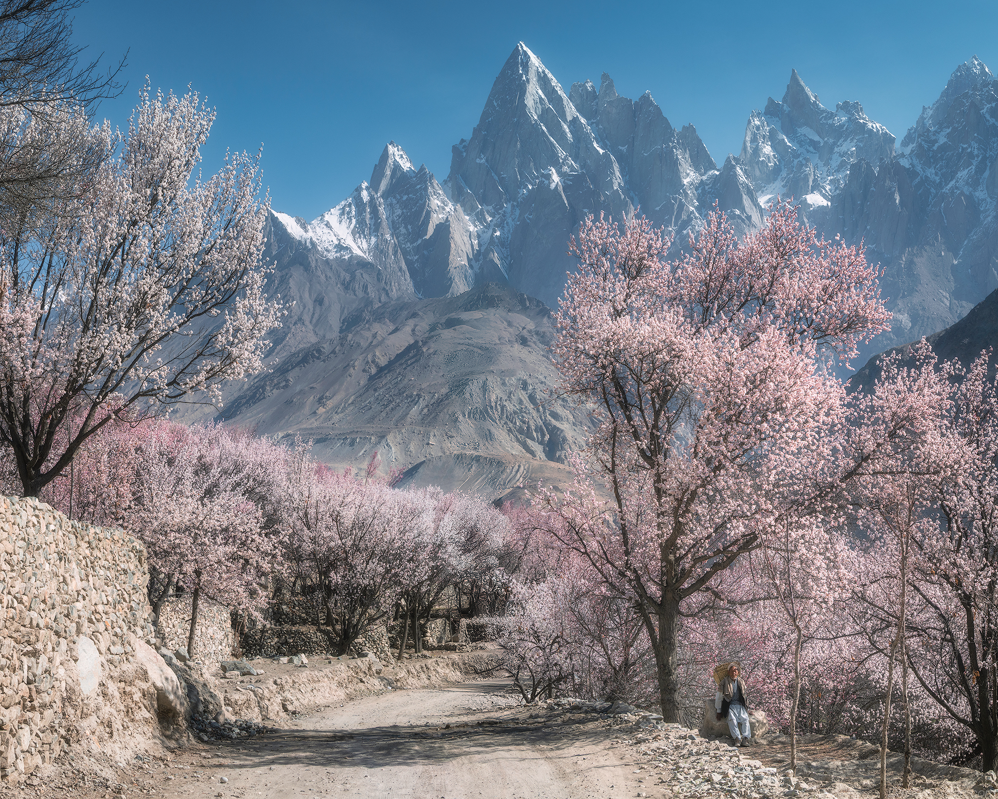 , Даниил Коржонов