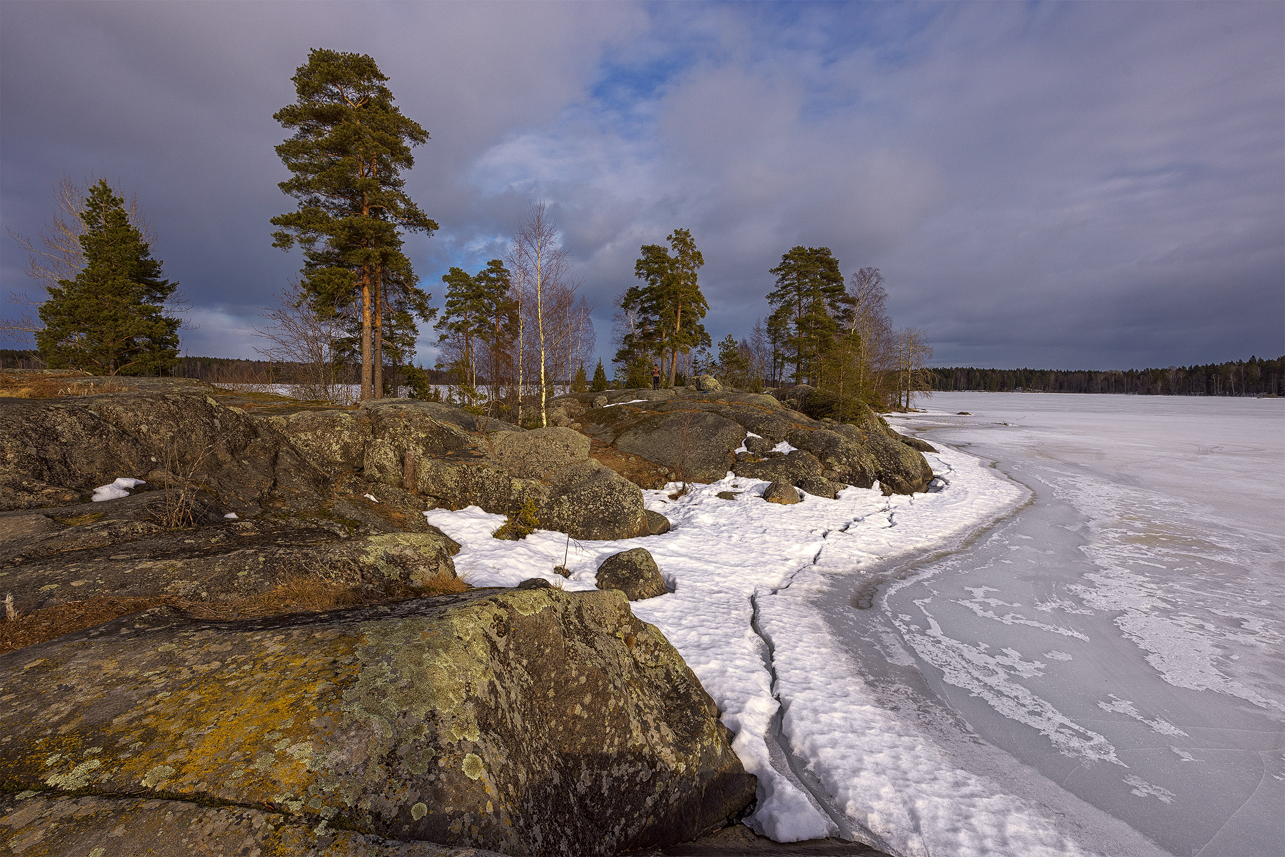 , Елена Михайлова